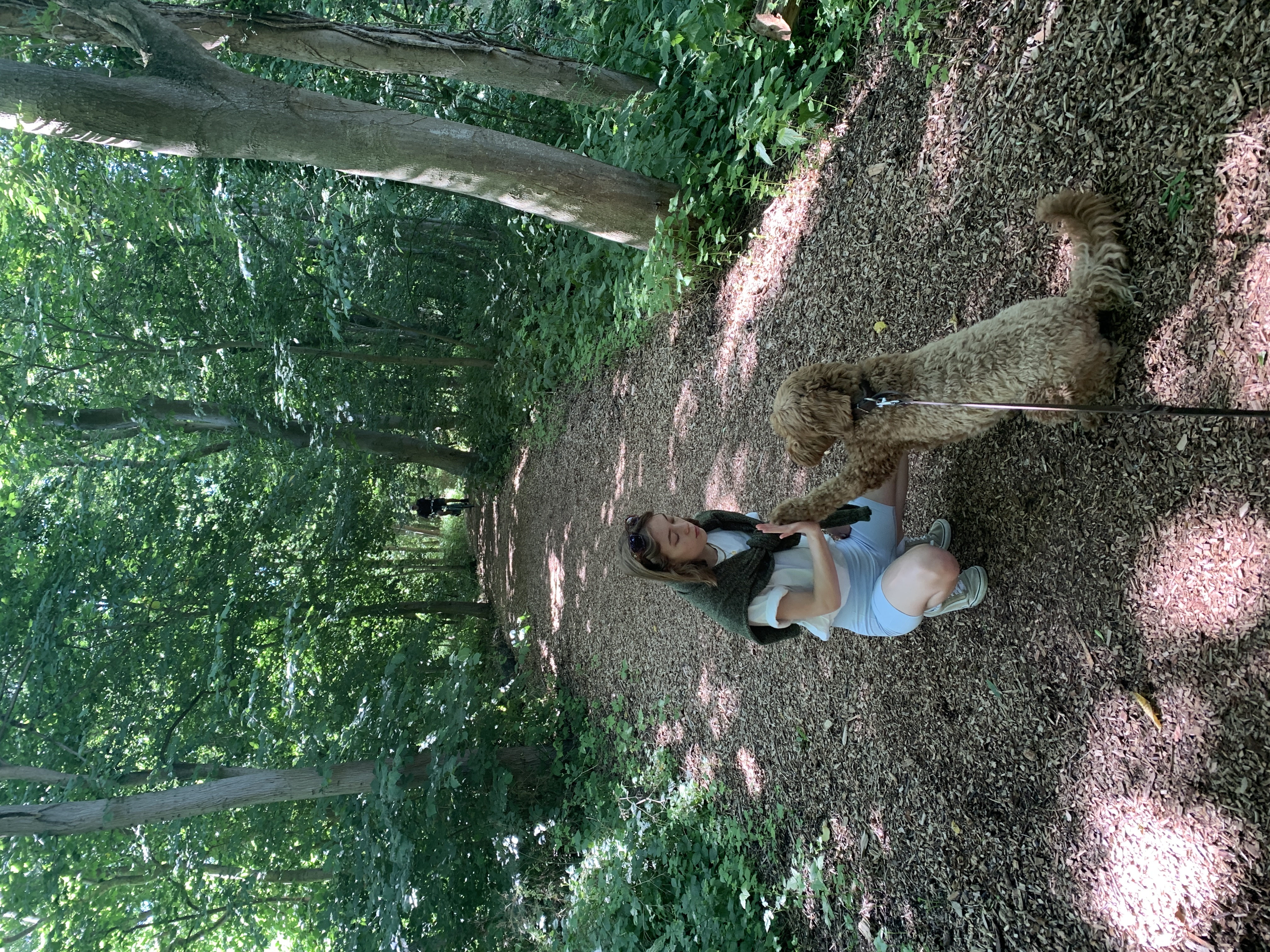 image-4