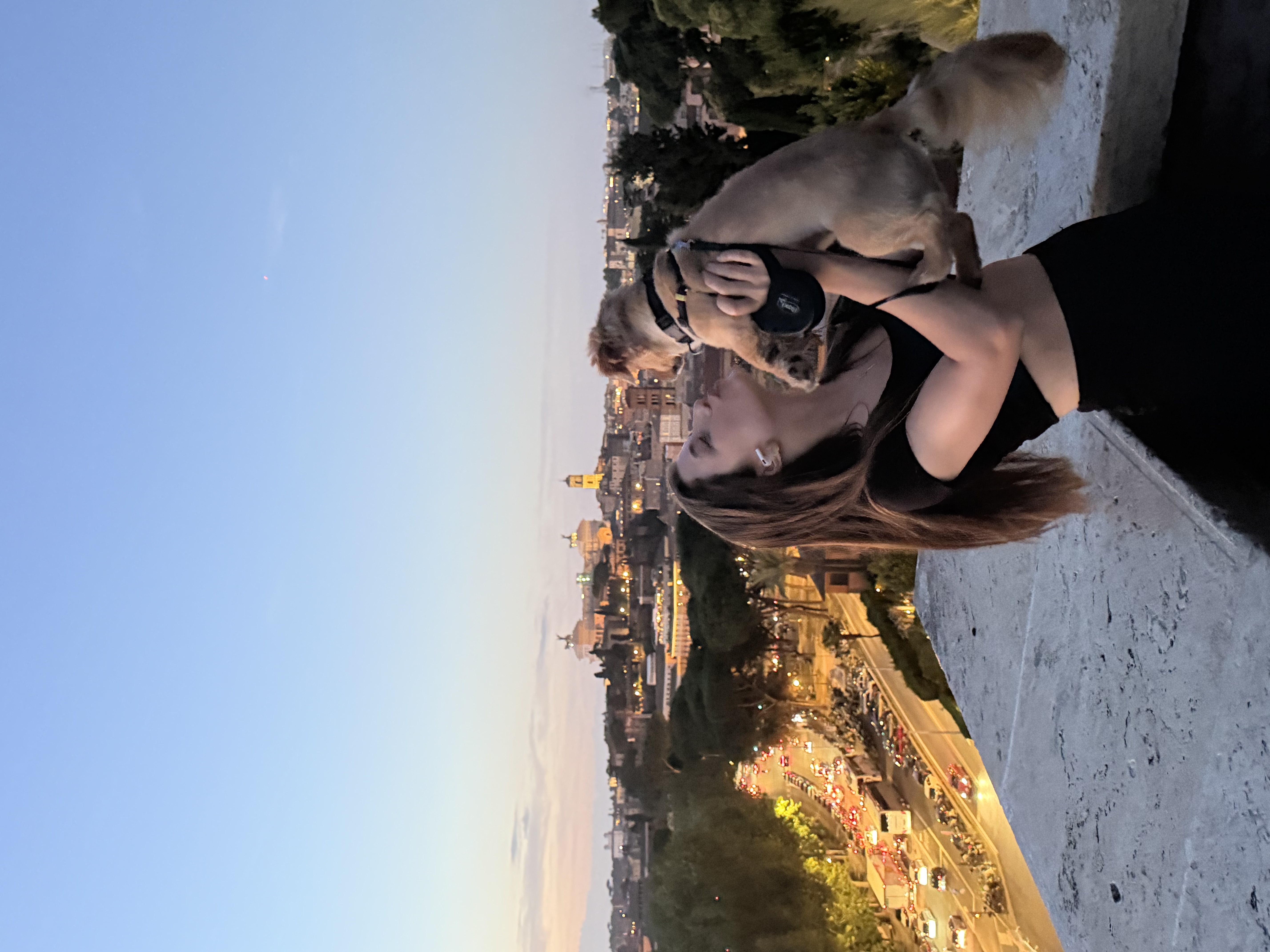 image-4