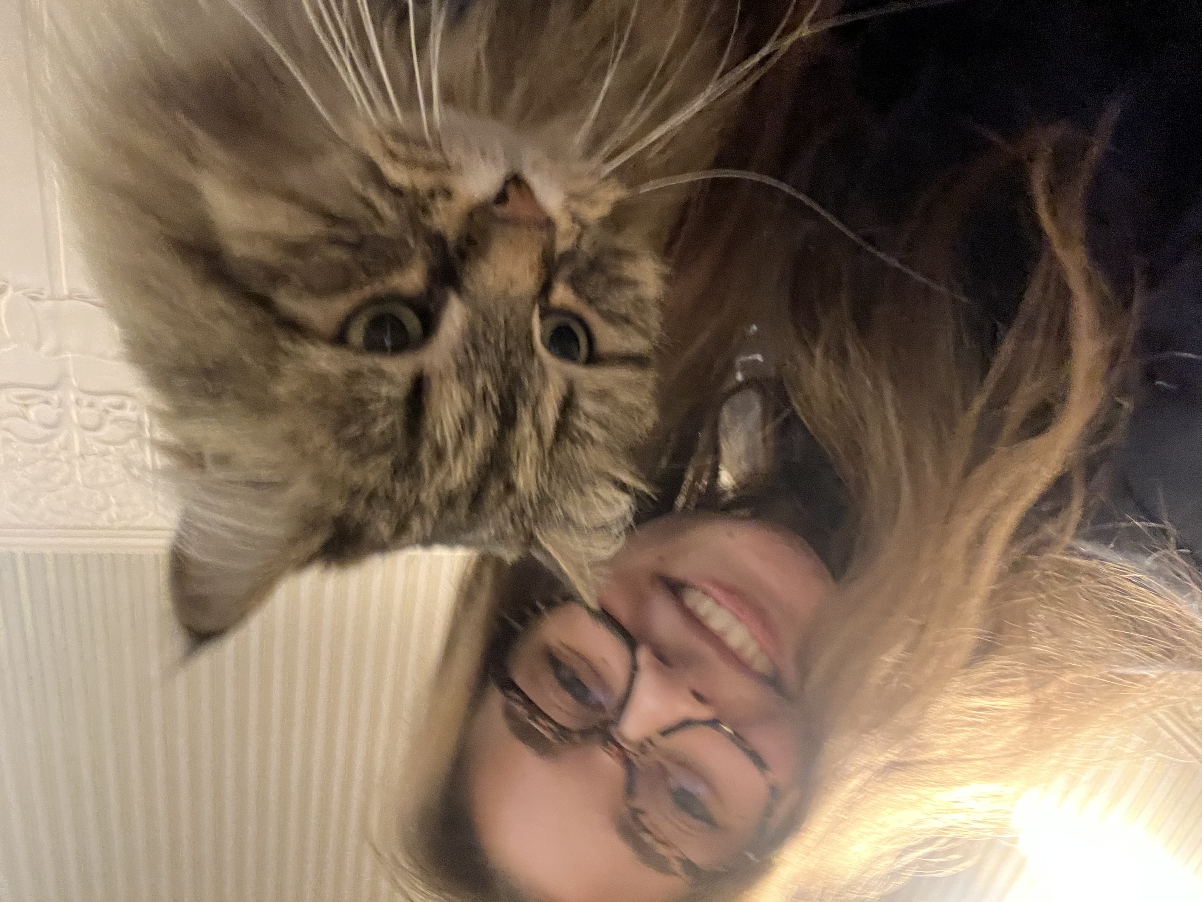 image-0