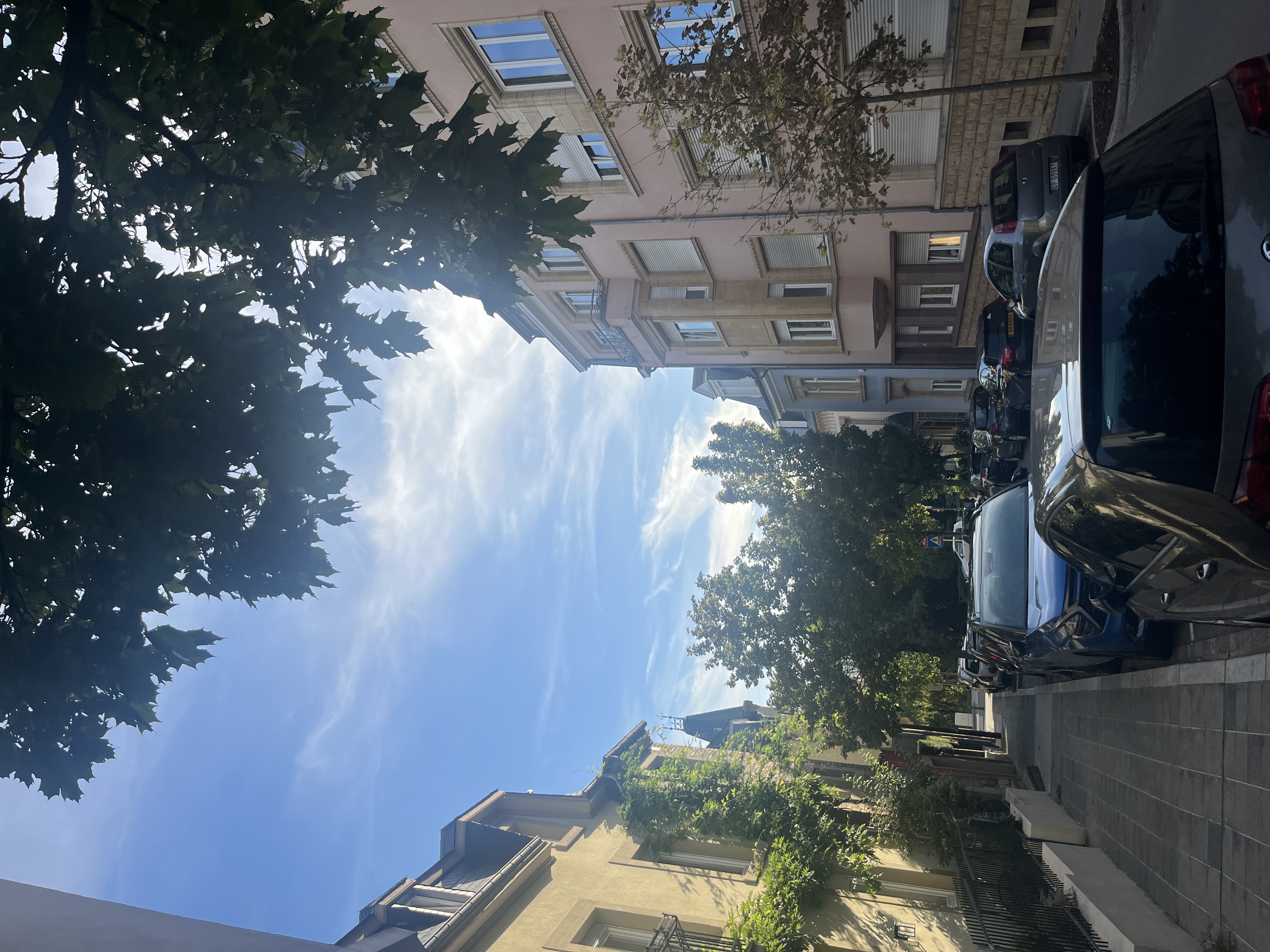 image-19