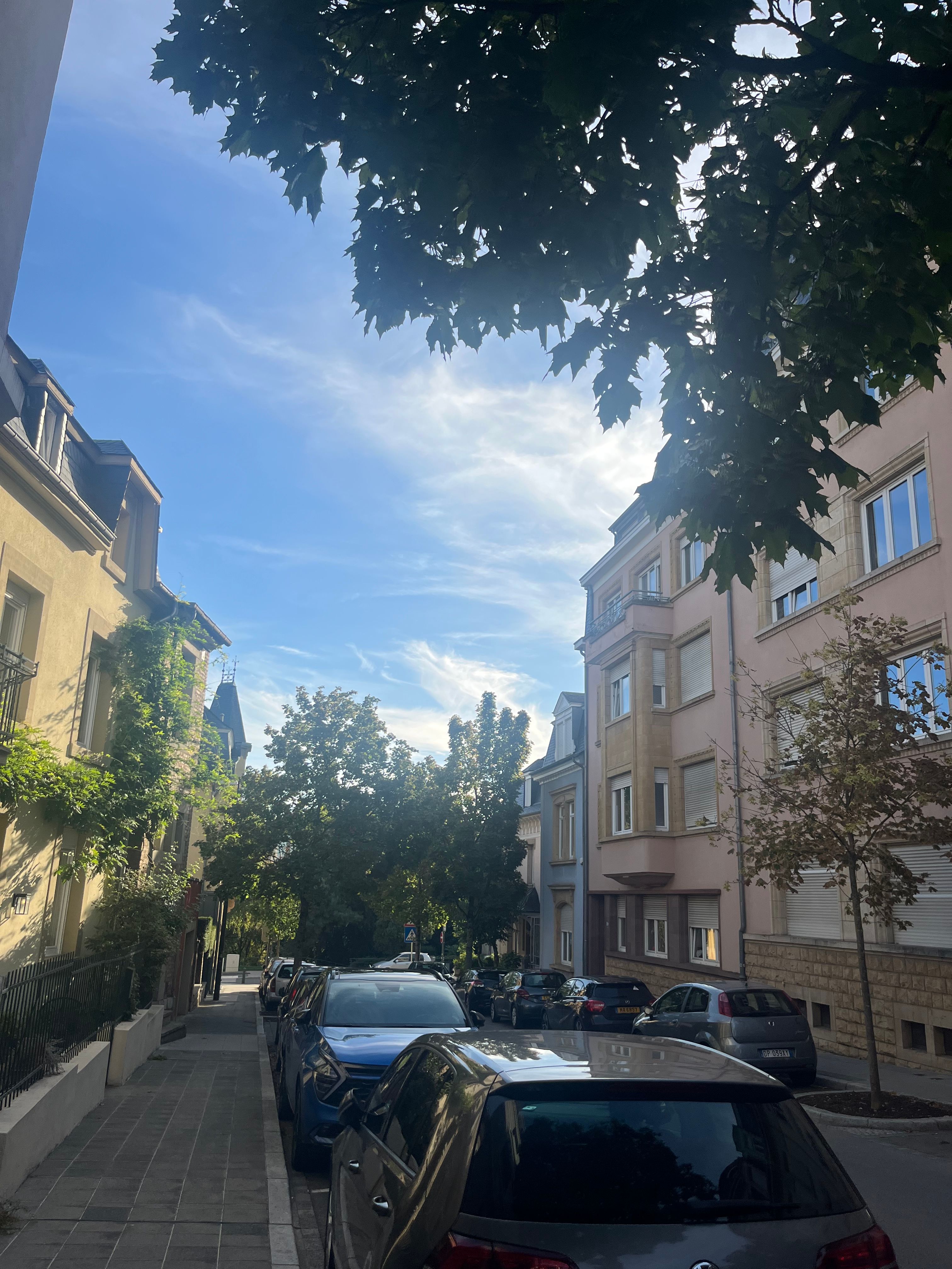 image-19