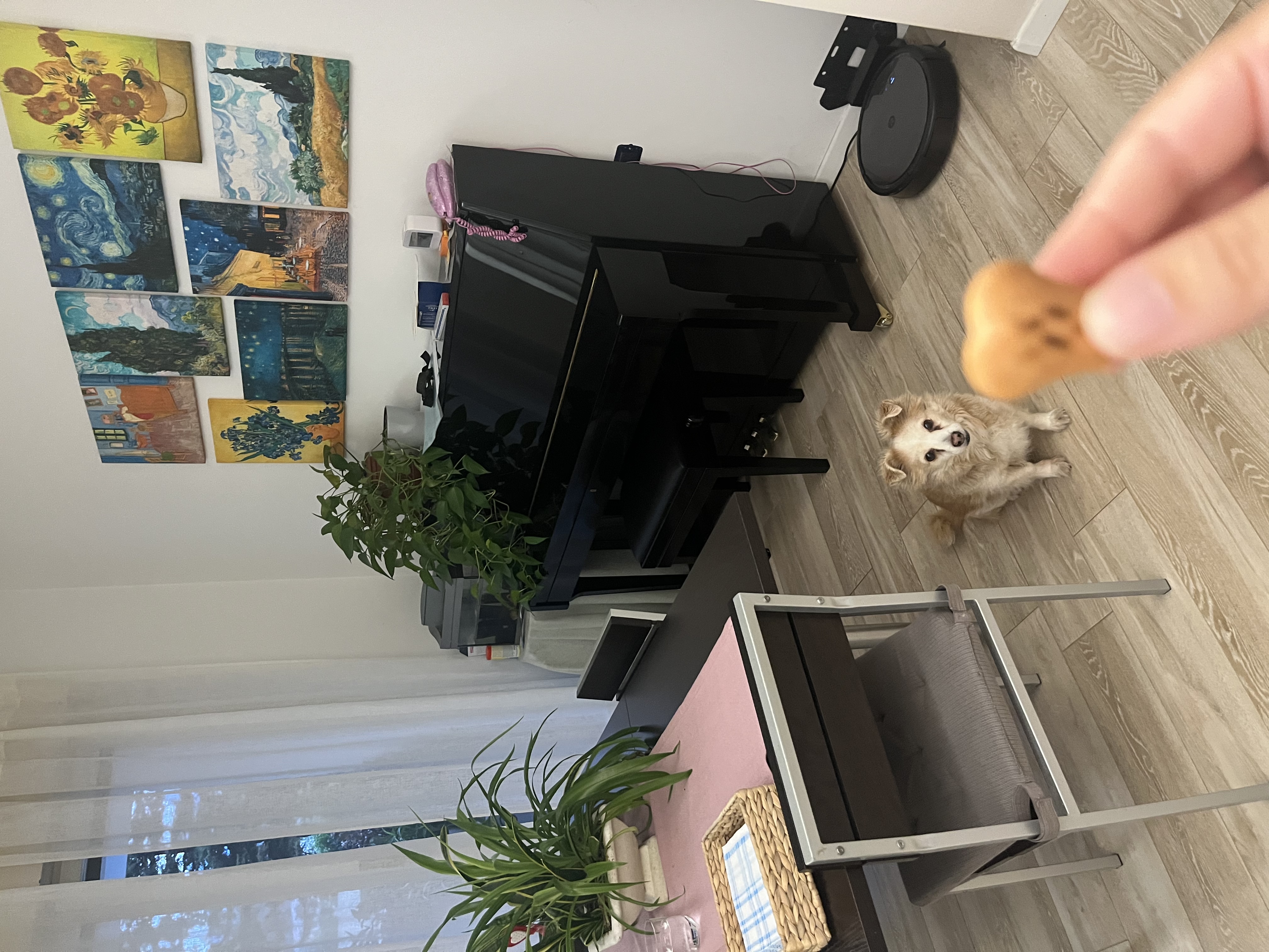 image-12