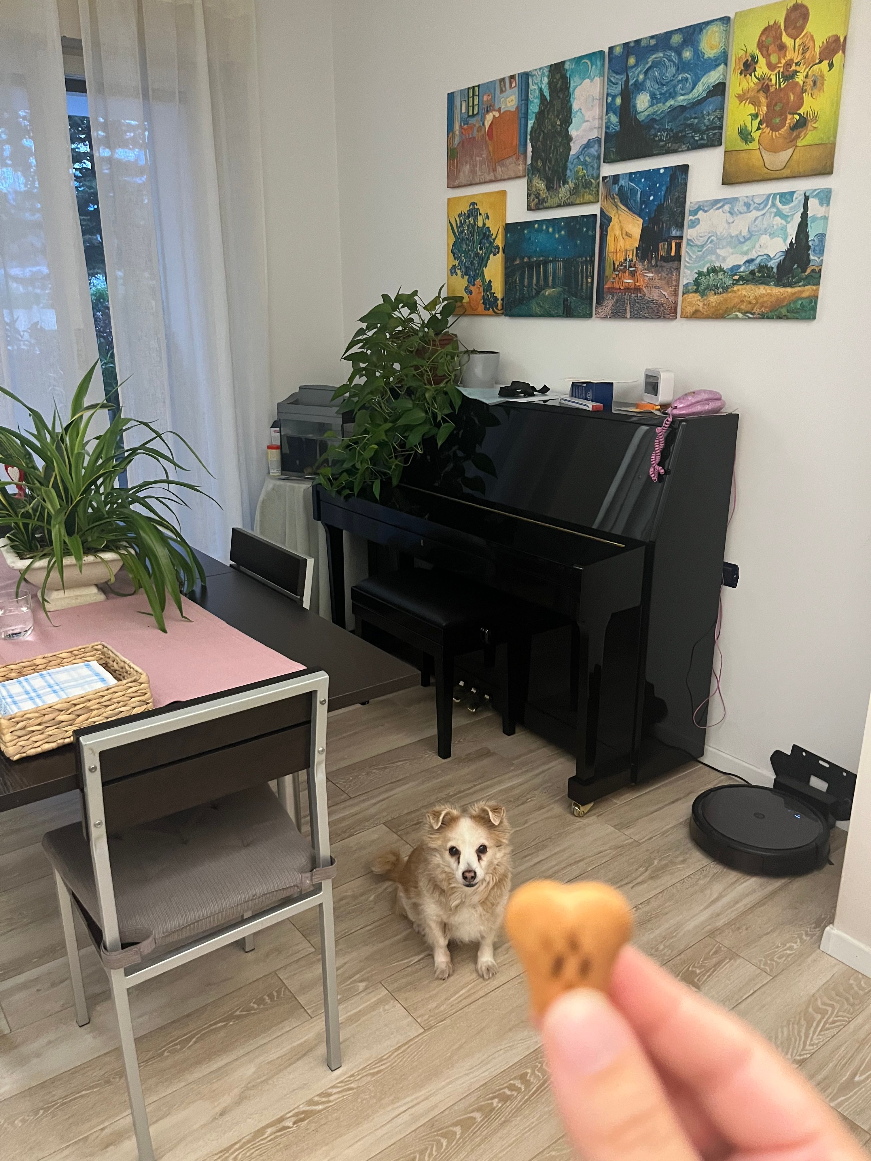 image-12