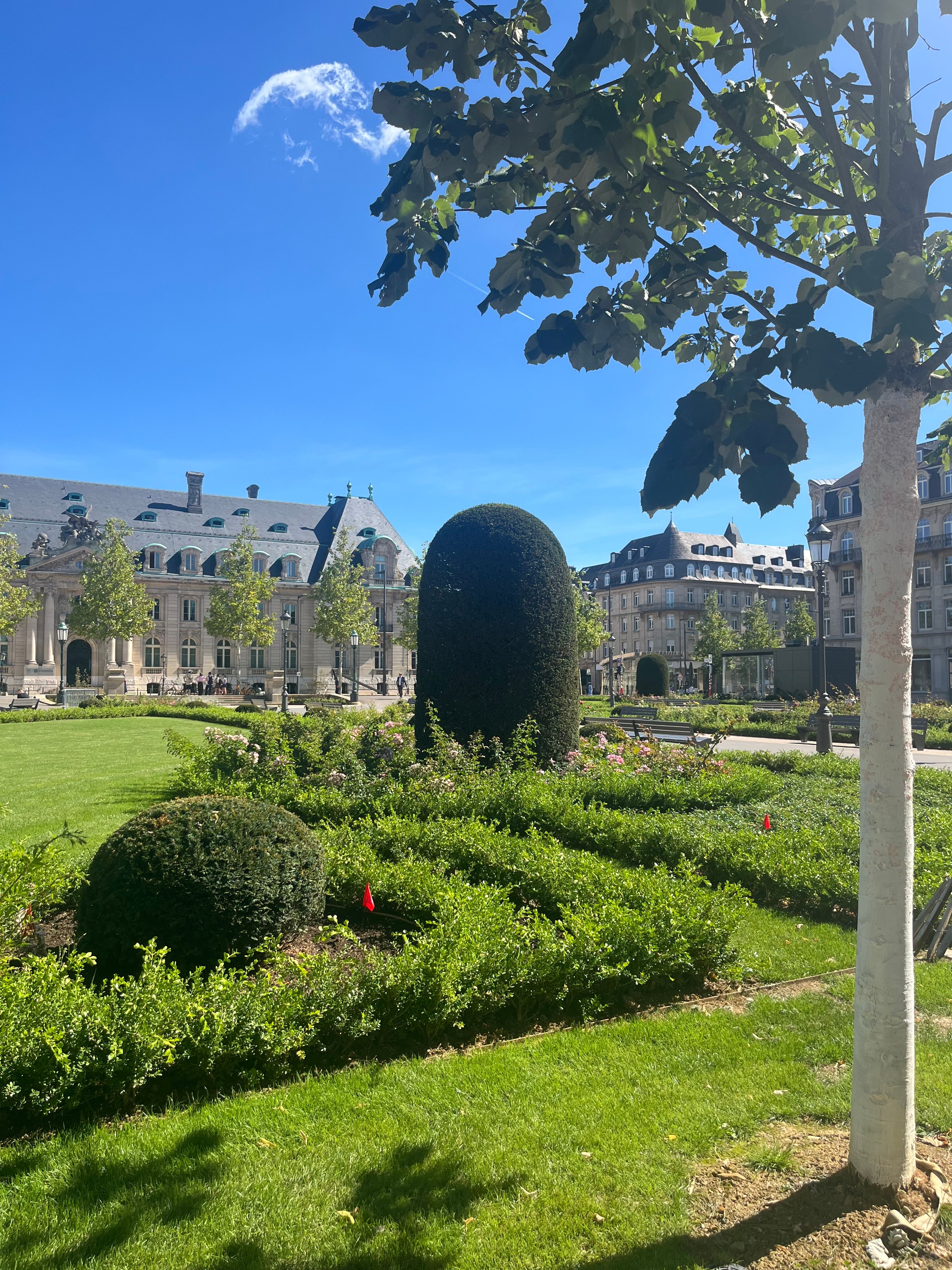 image-20