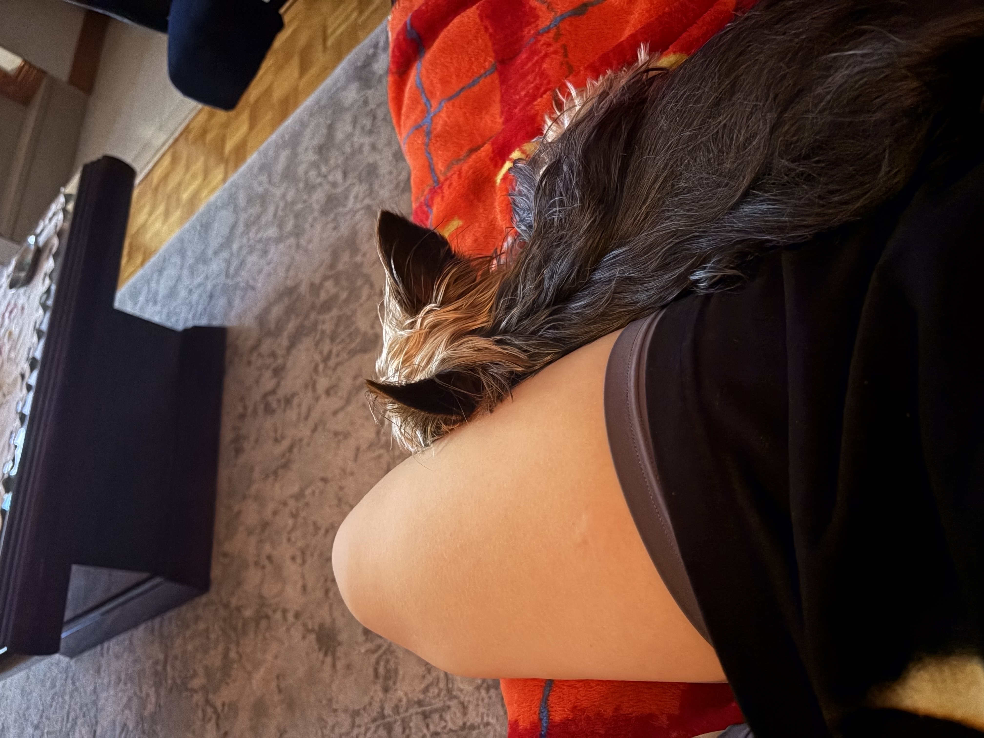 image-7