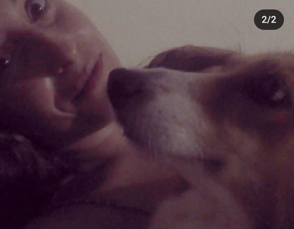 image-8