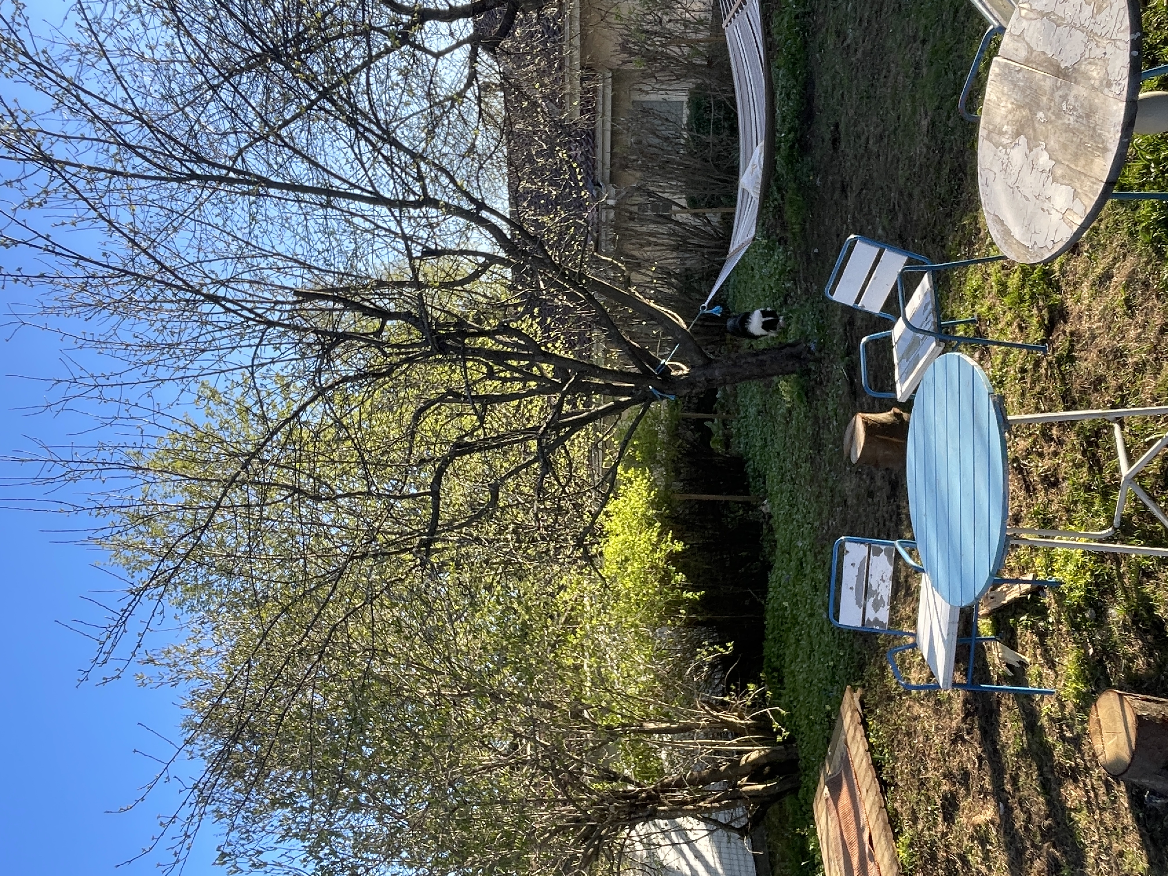 image-14