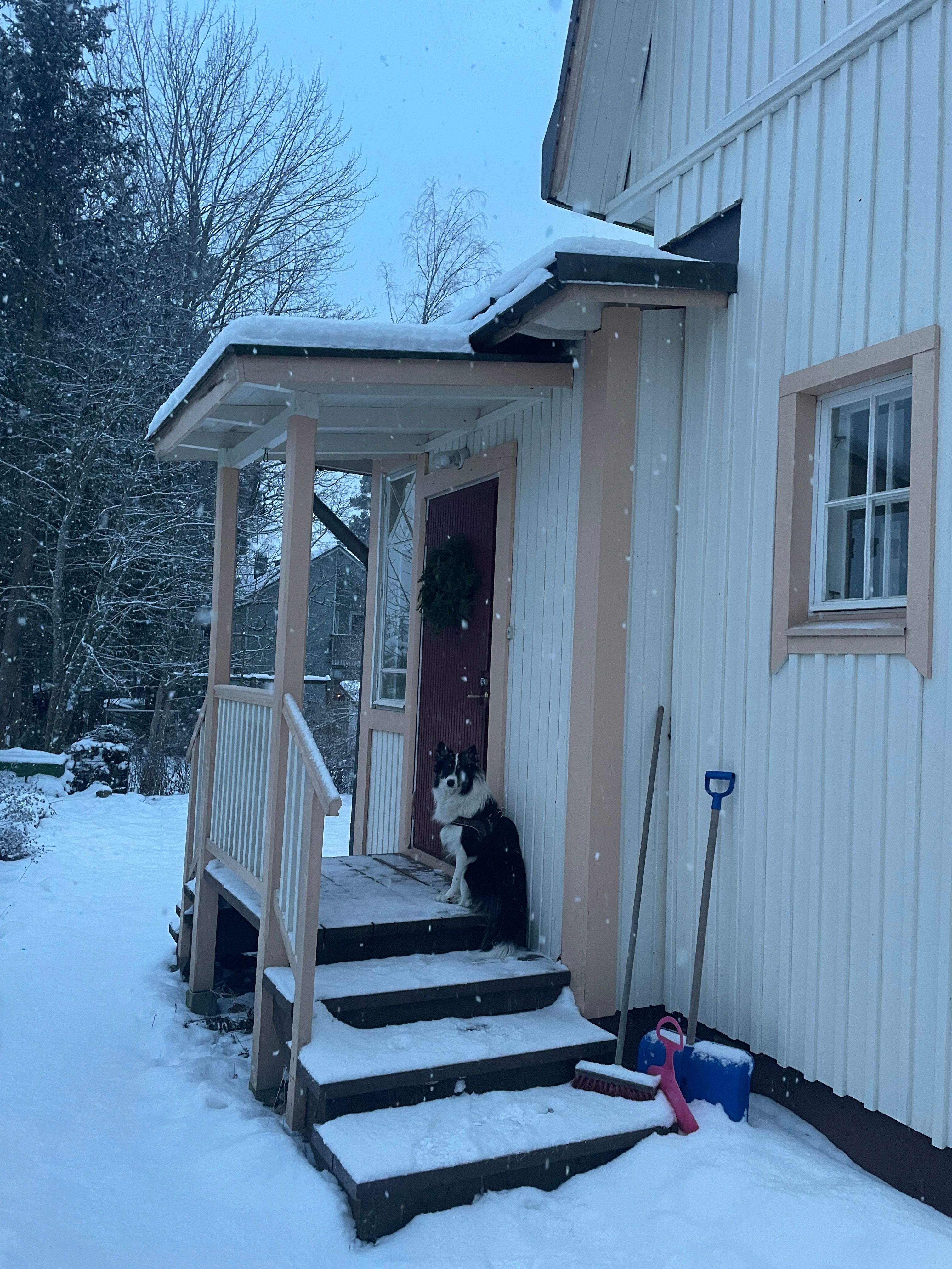 image-20
