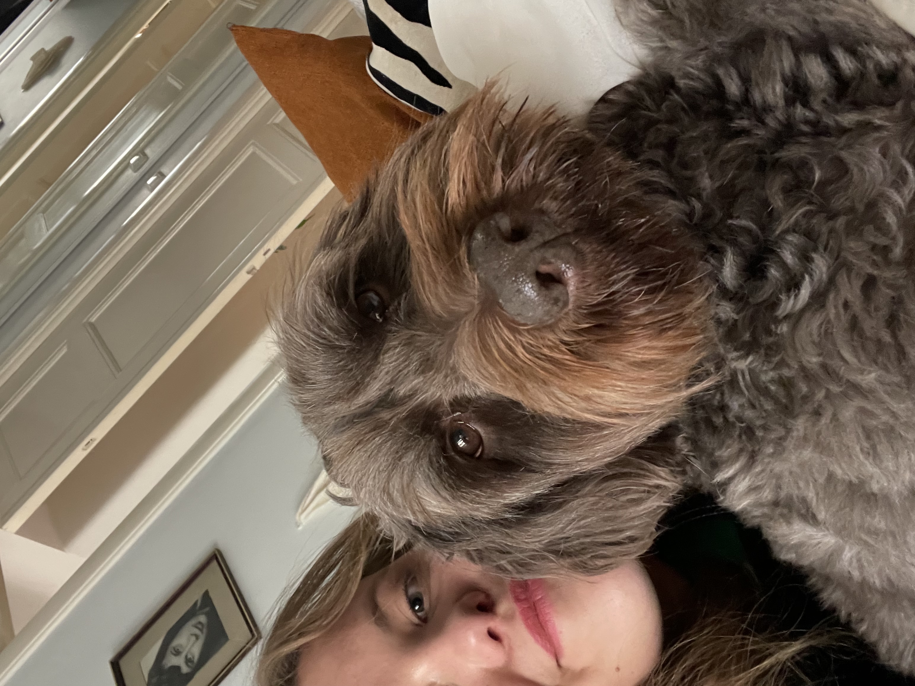 image-6