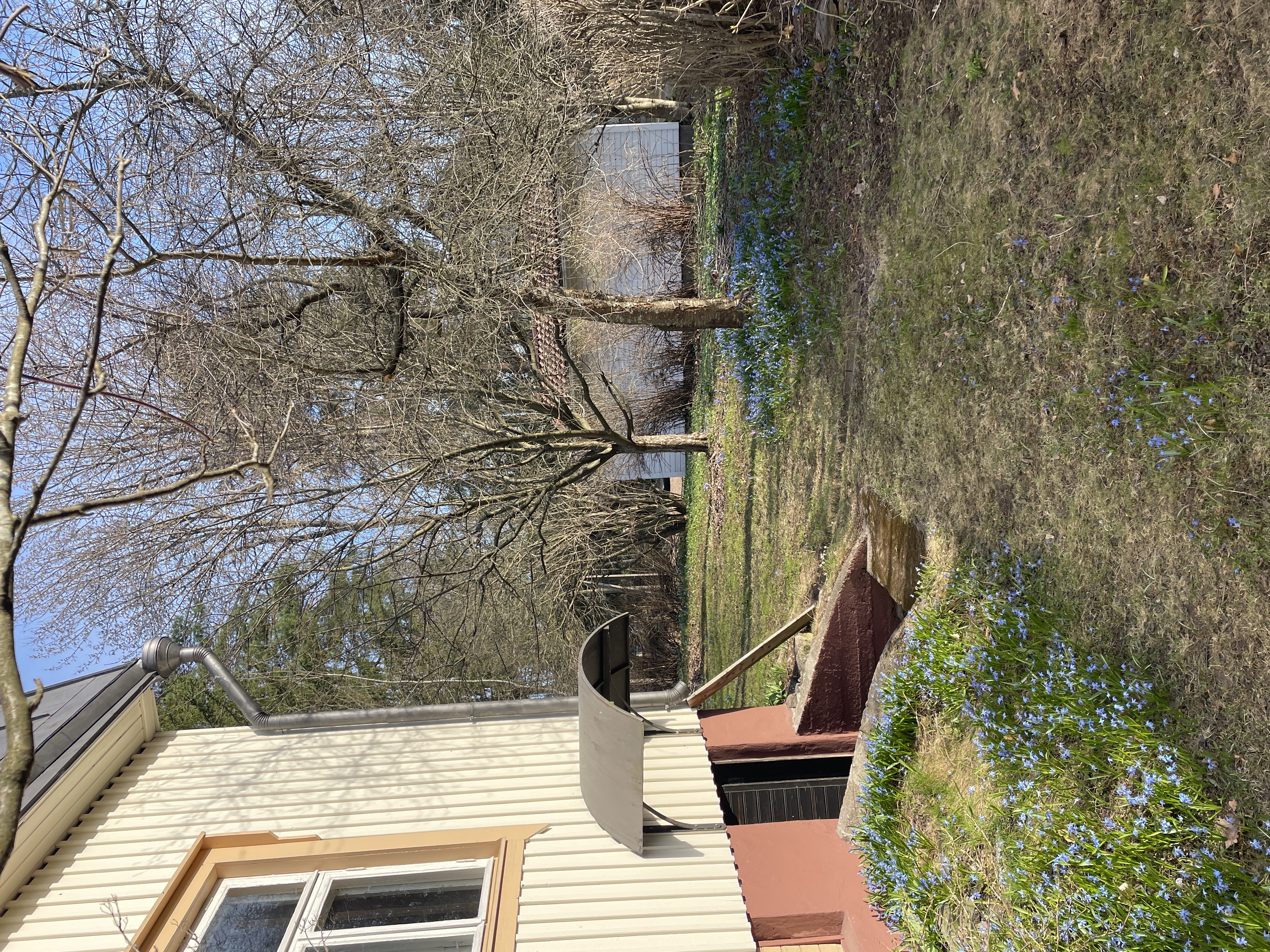 image-25