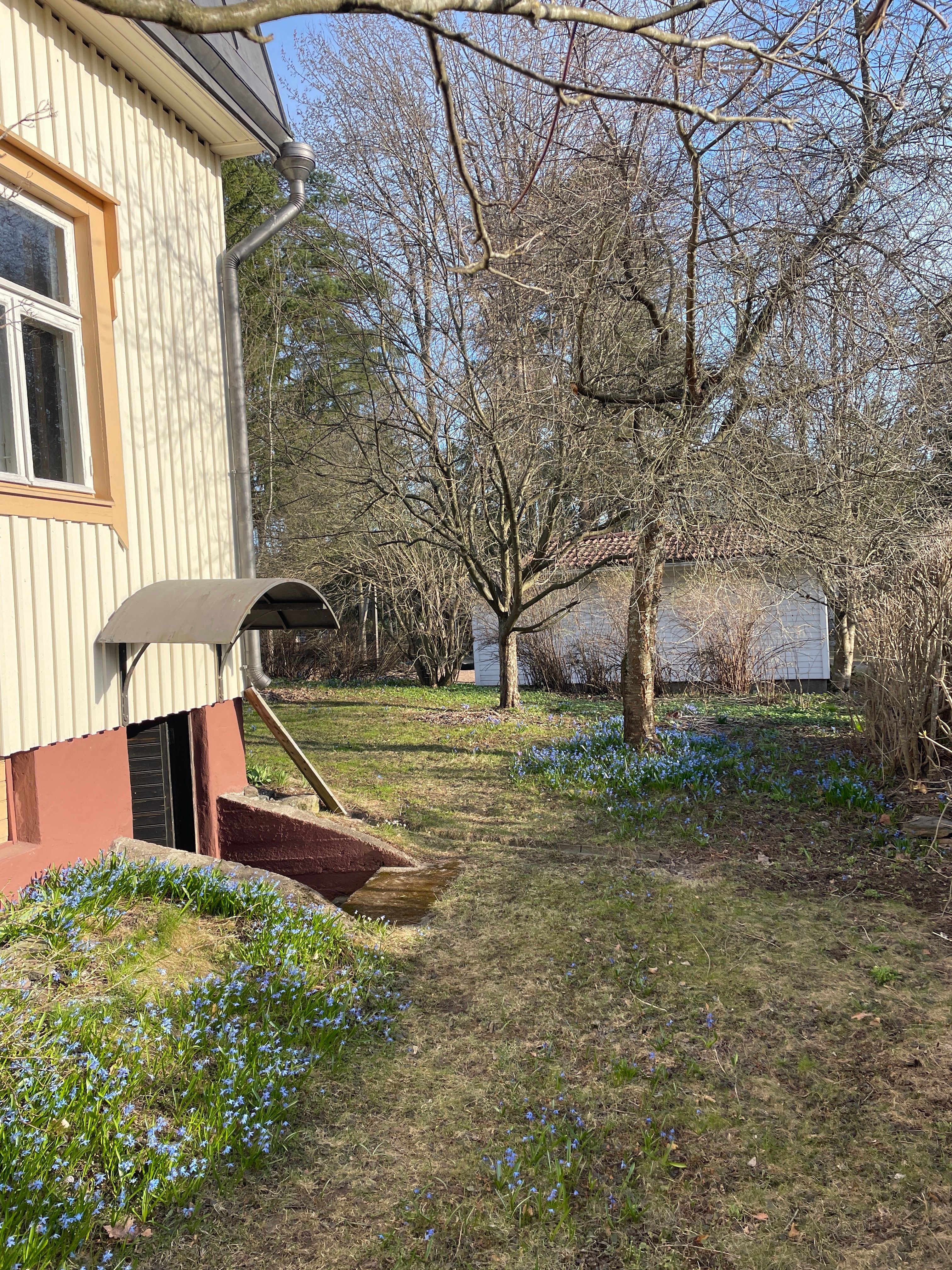 image-25