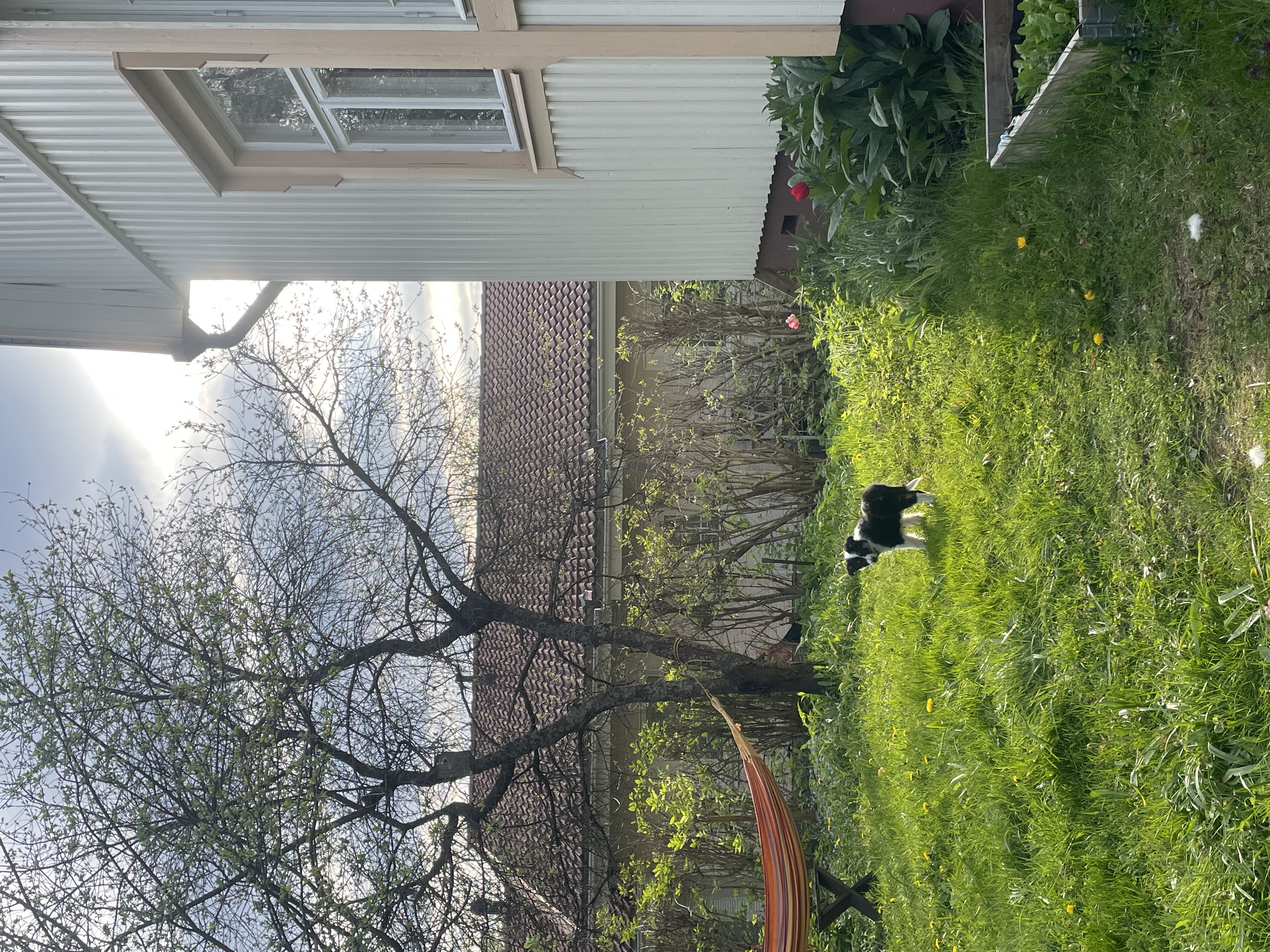image-15