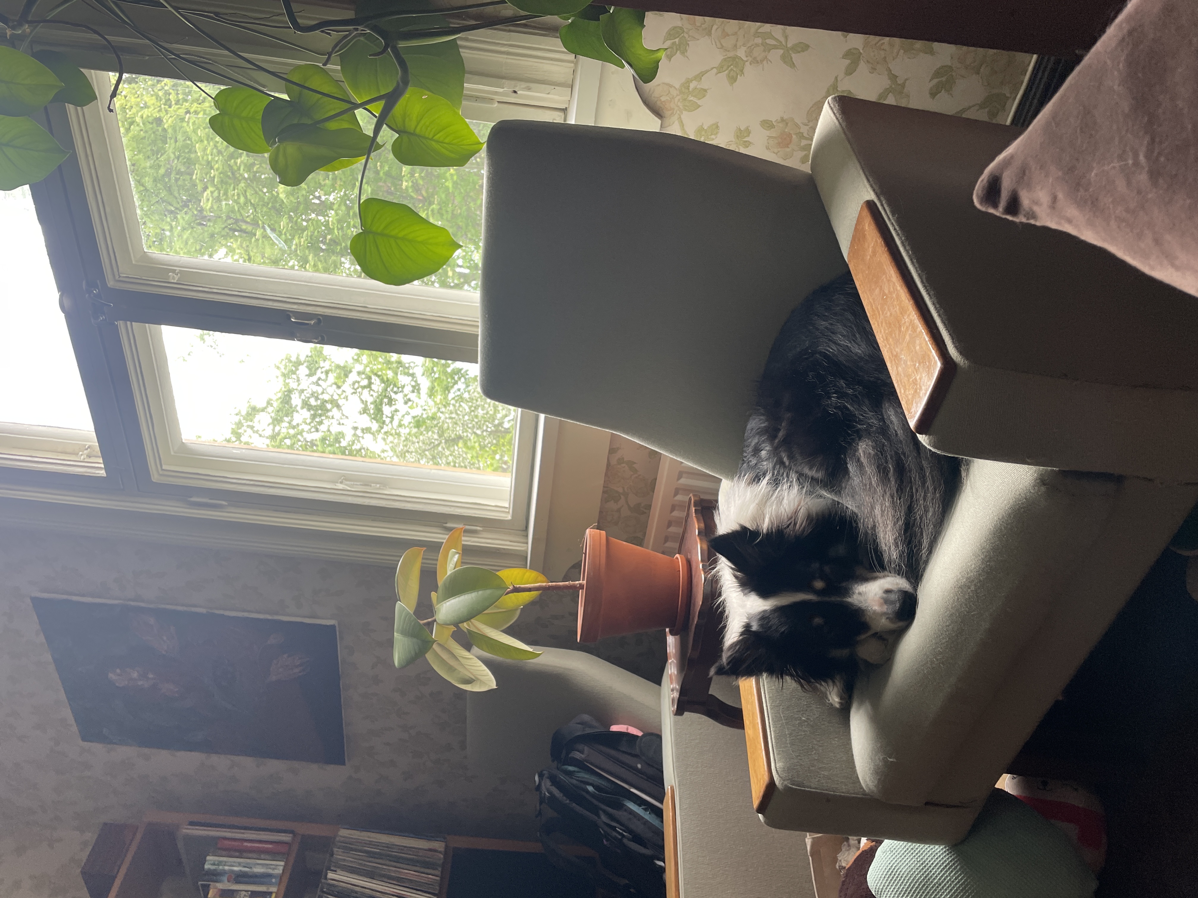image-16