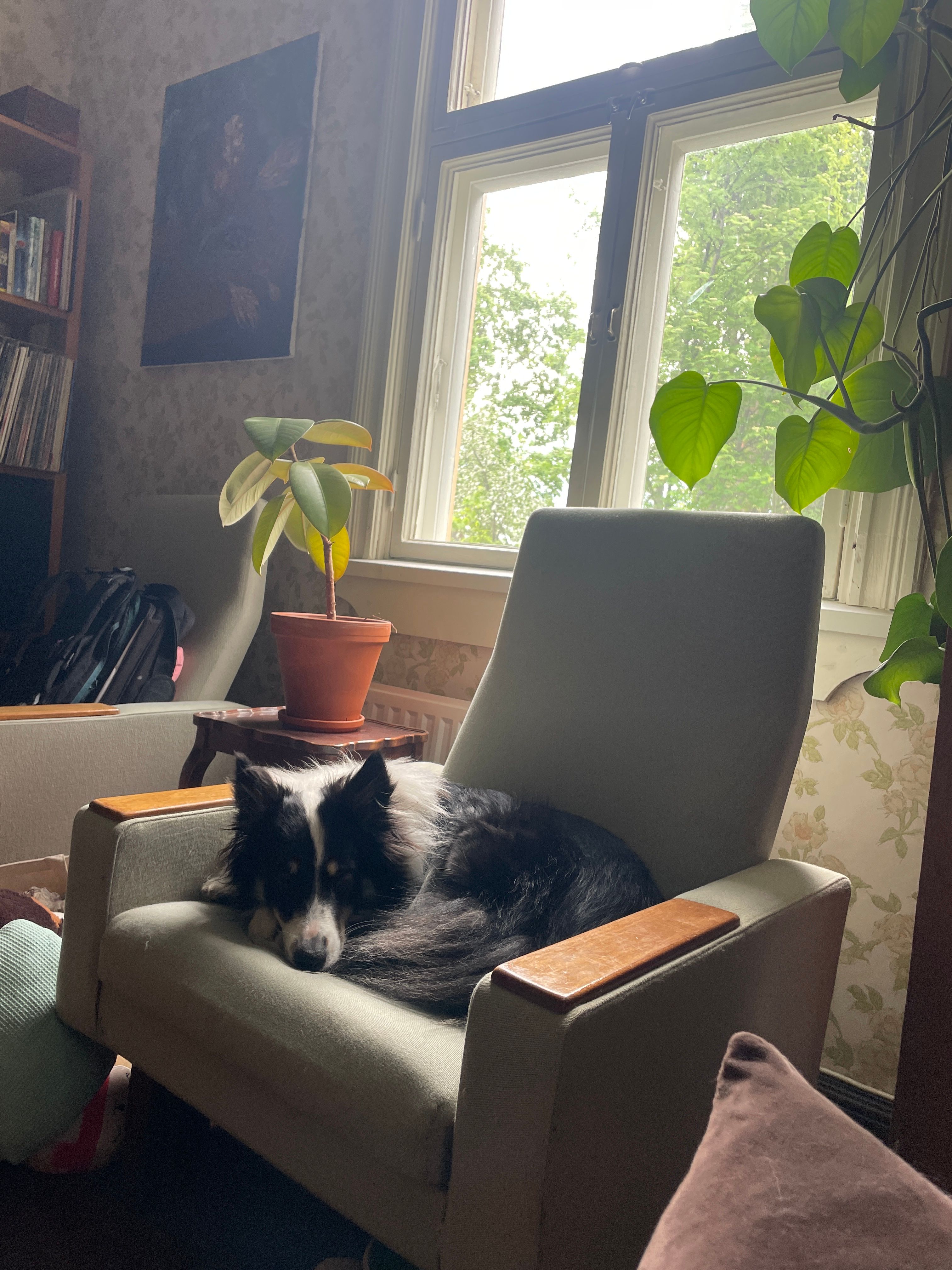 image-16