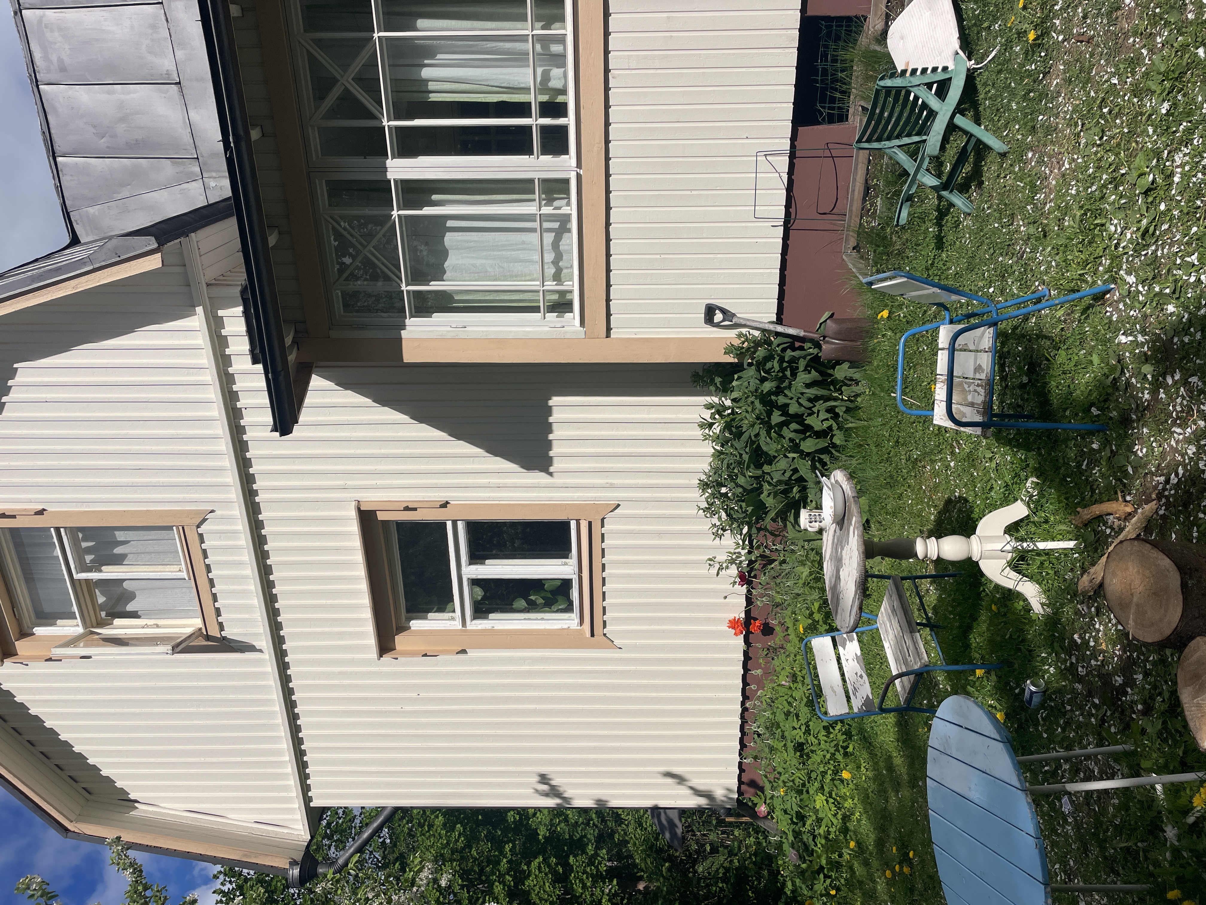image-21