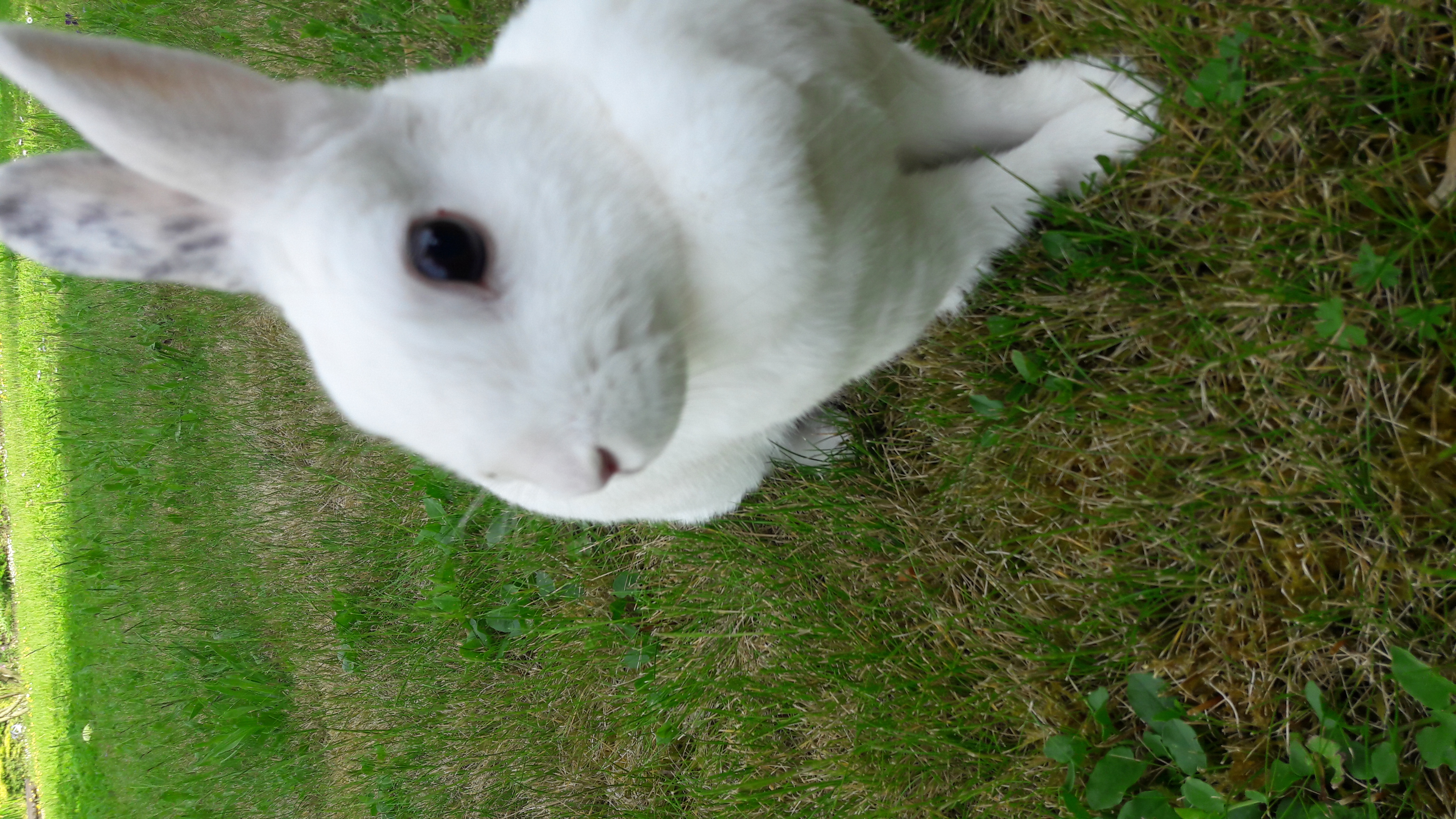 image-5