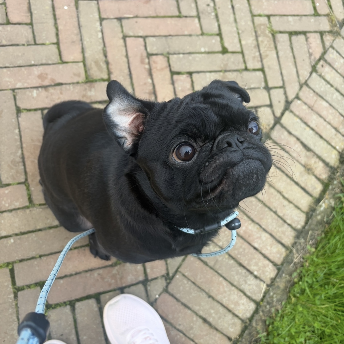 Percy
