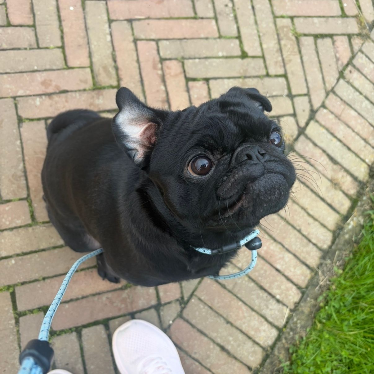 Percy