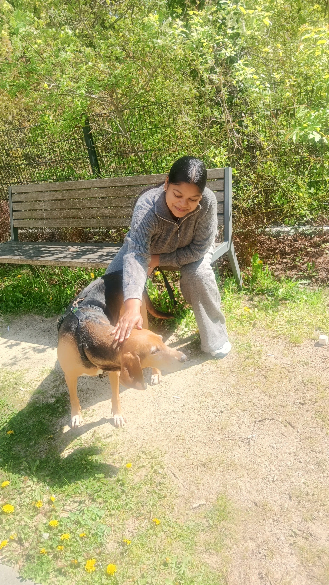 image-9