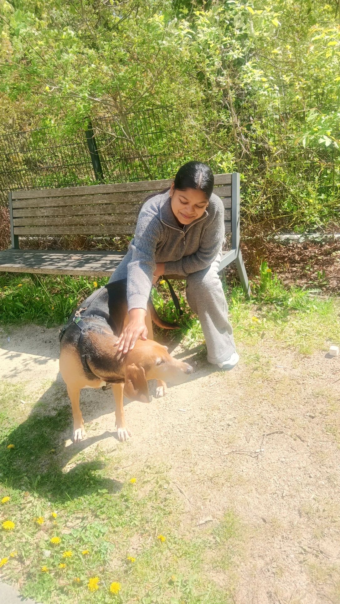 image-9