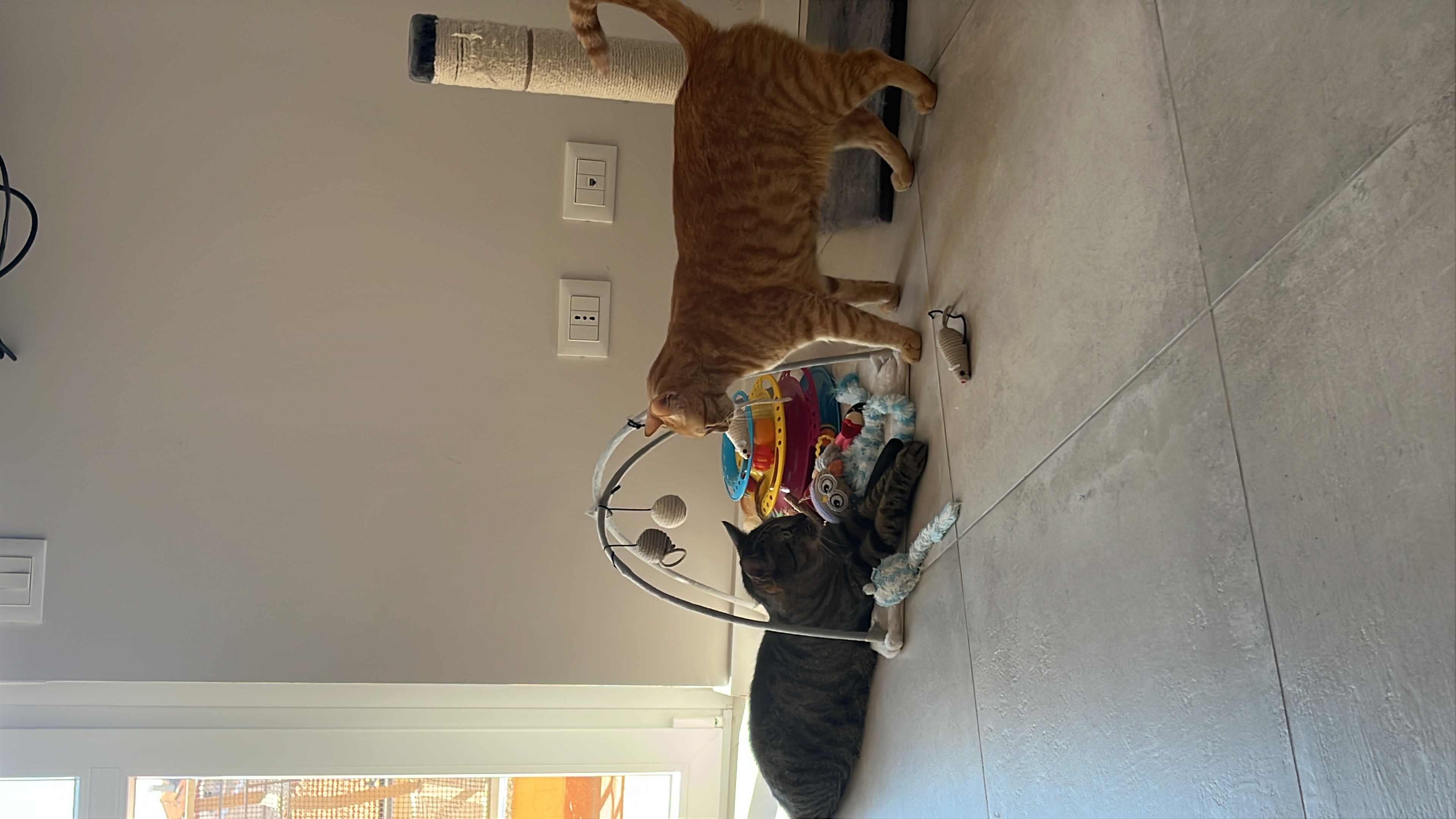 image-10