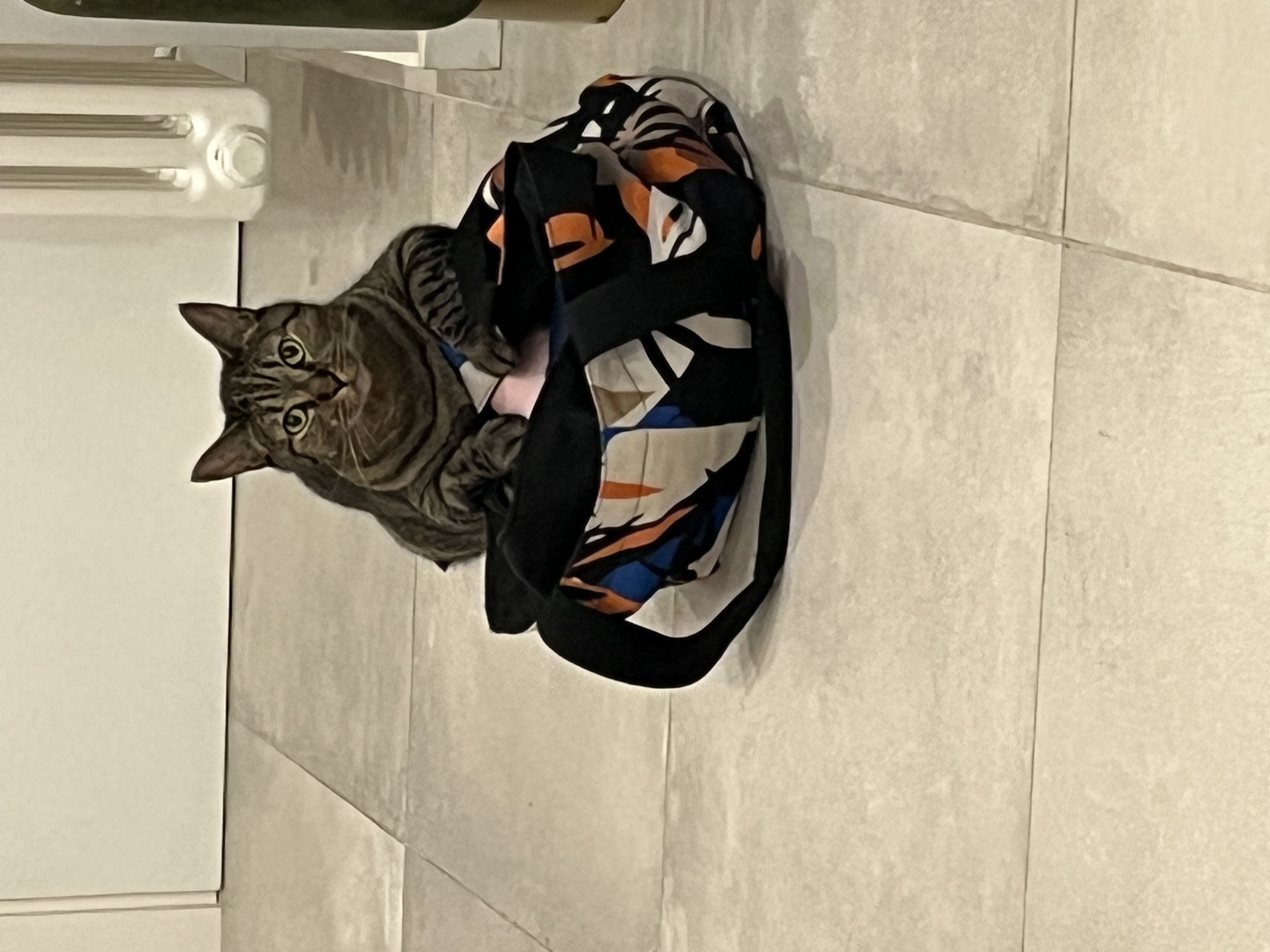 image-8