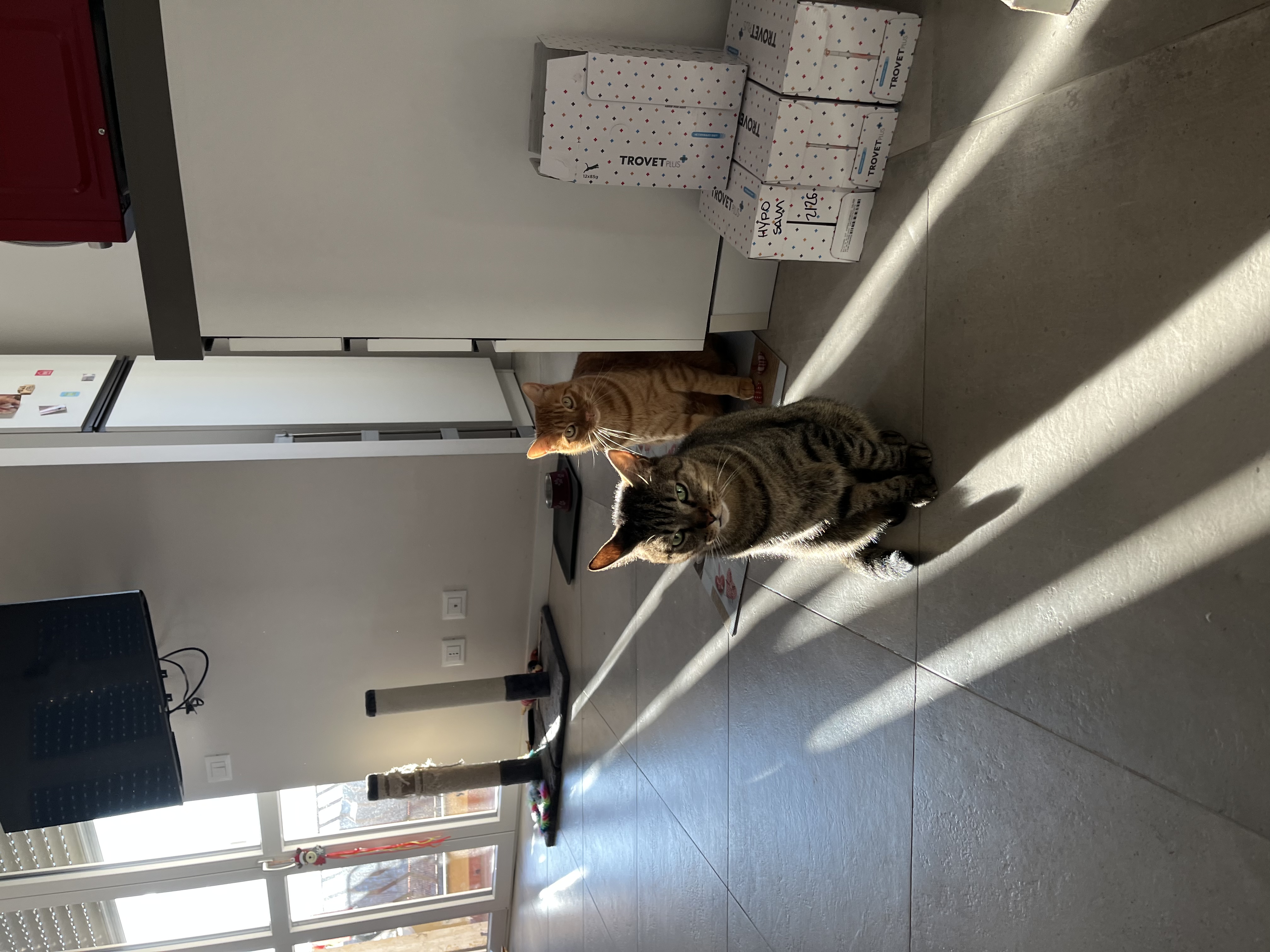 image-20