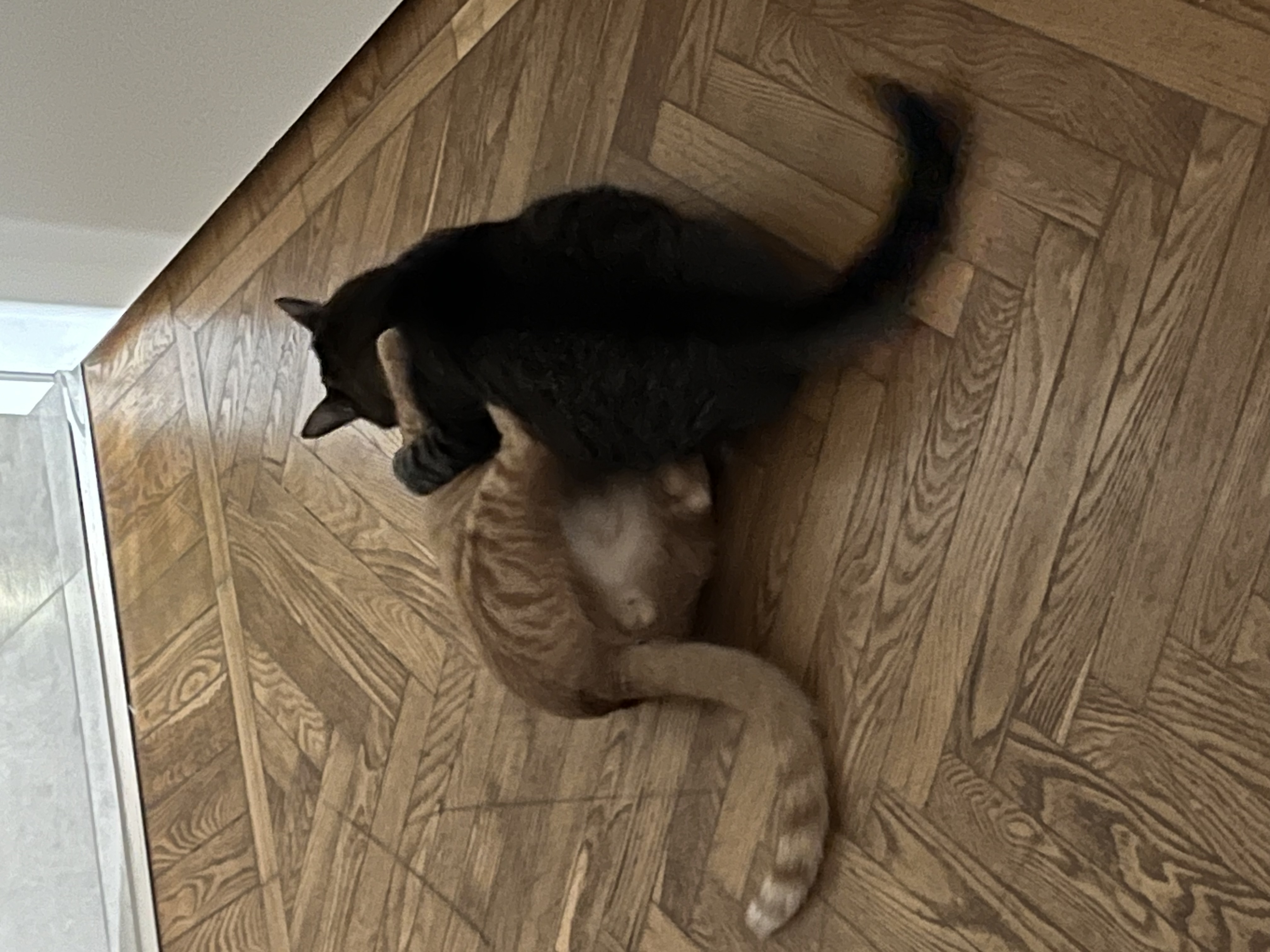 image-11