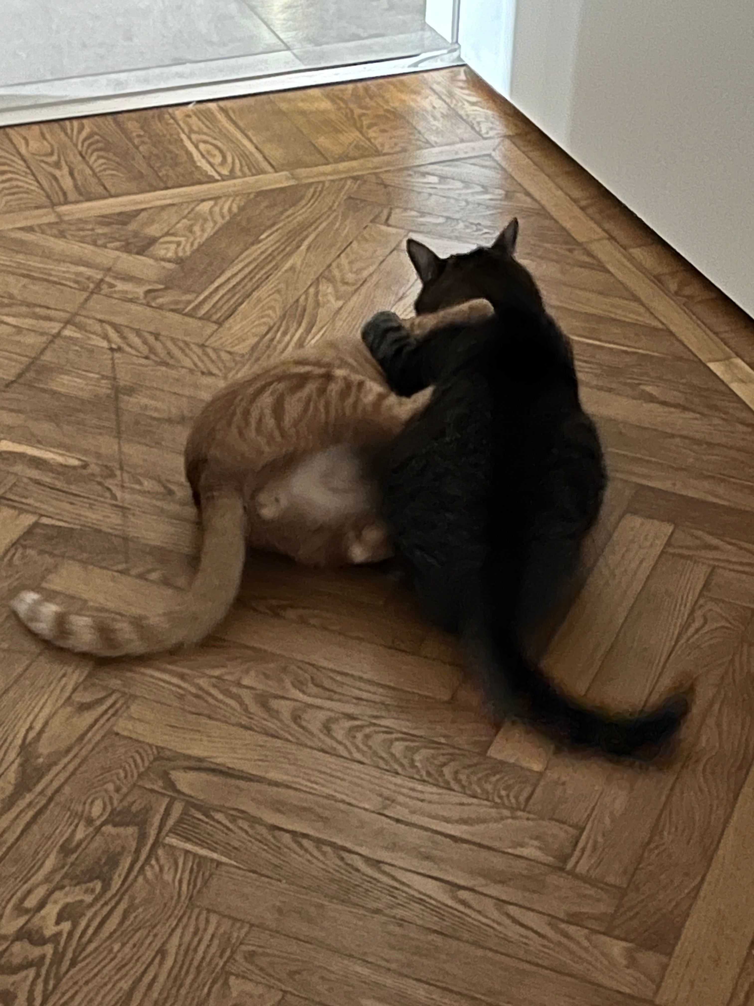 image-11