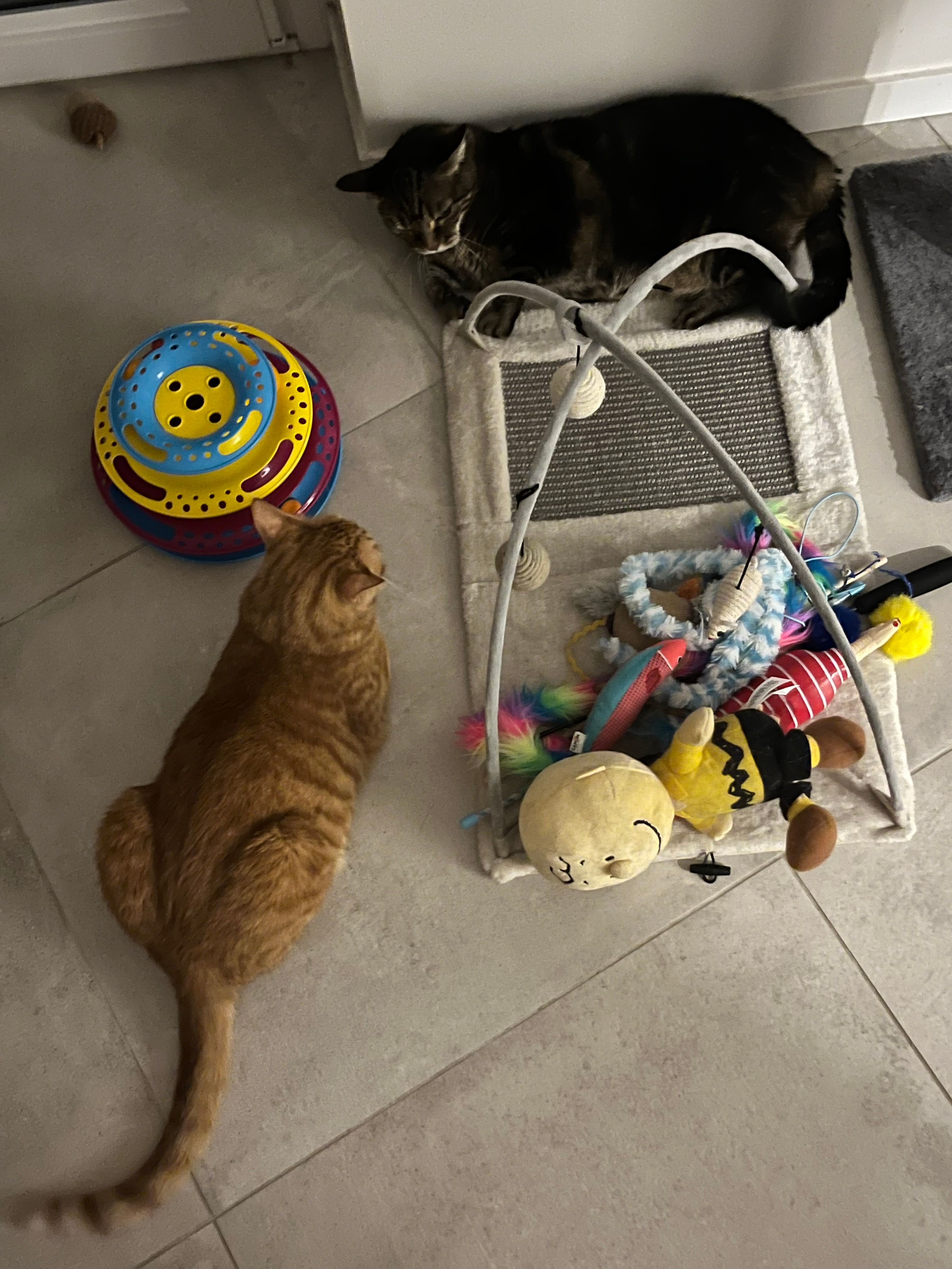 image-14