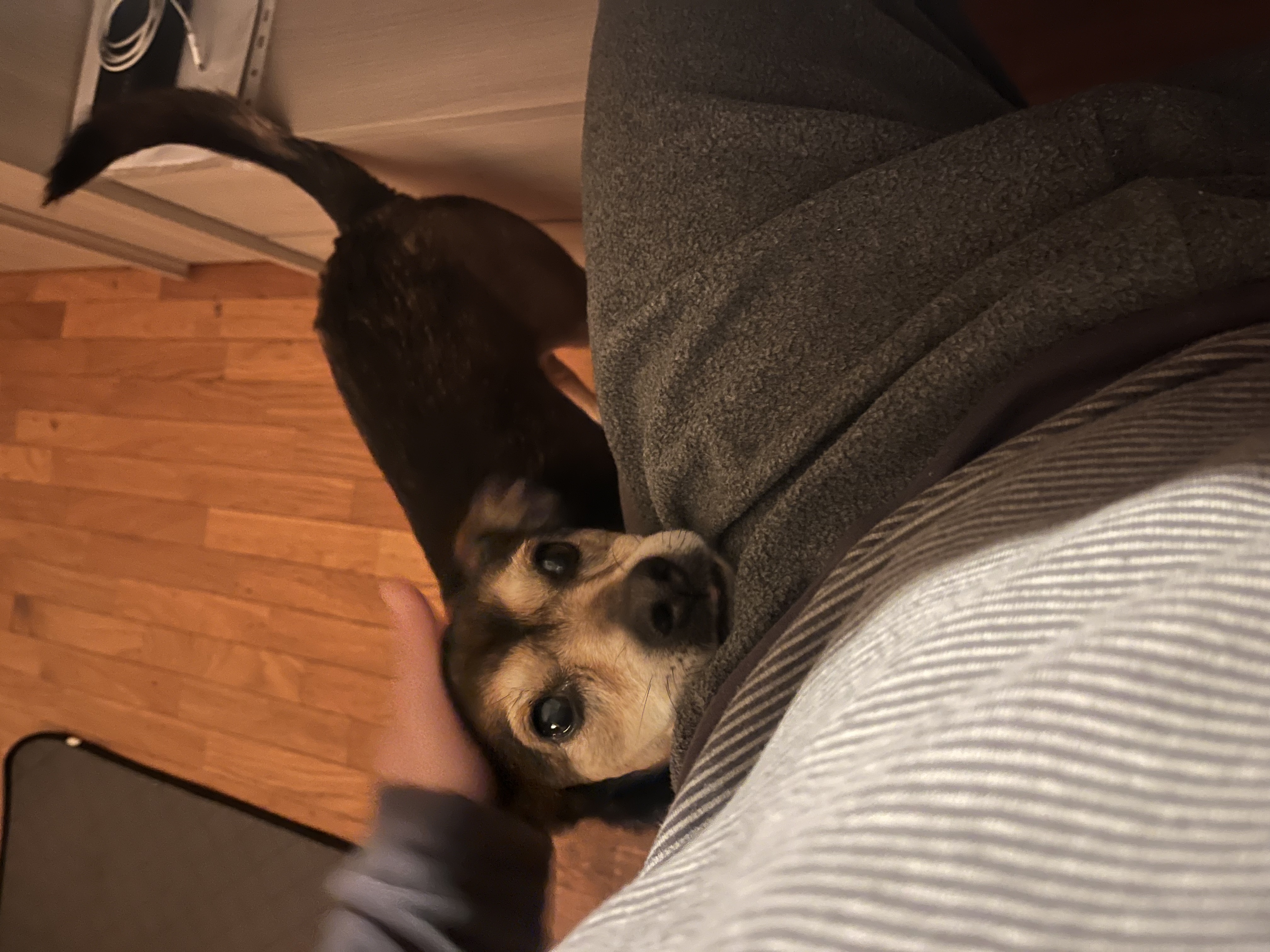image-9