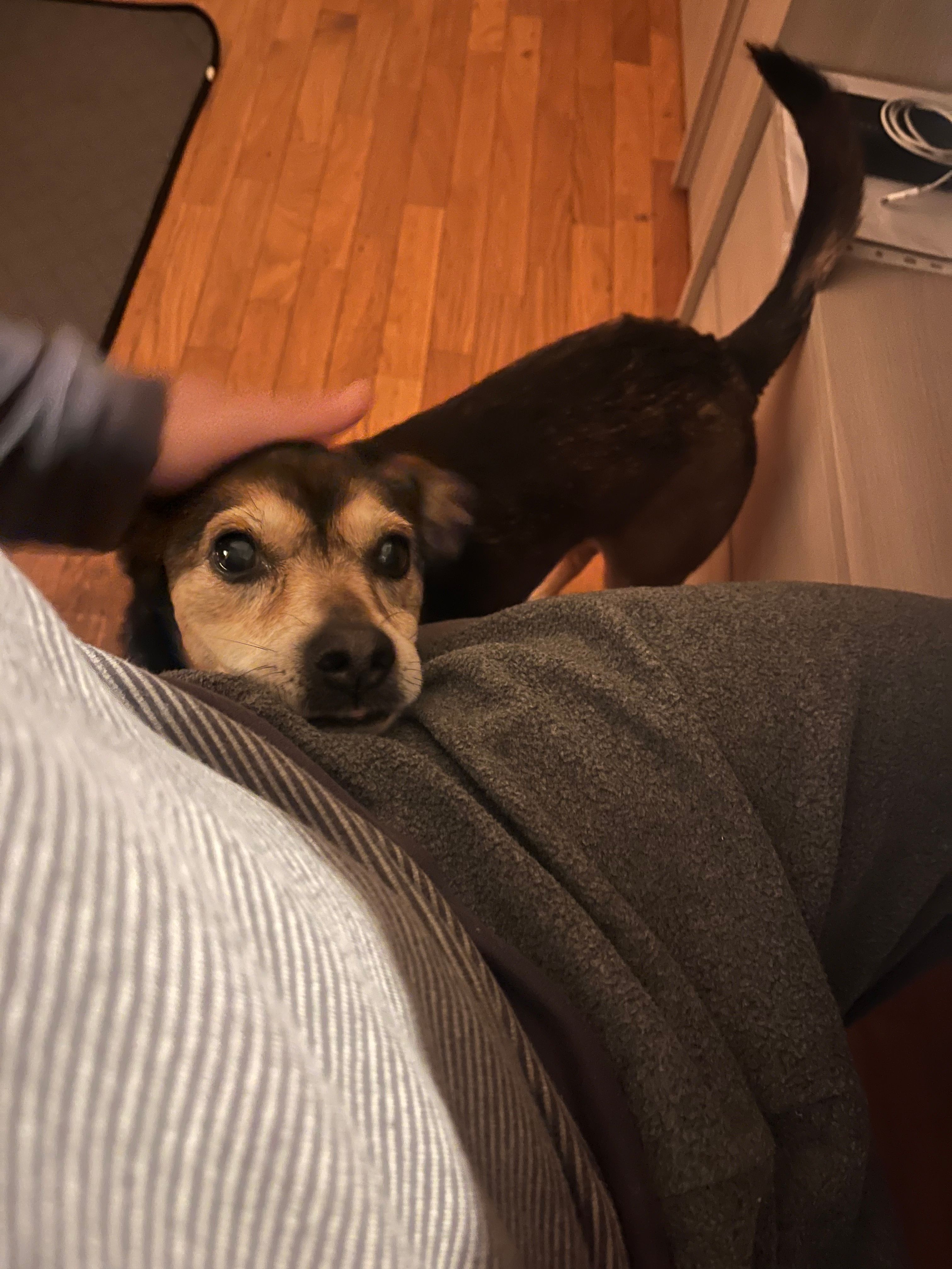 image-9