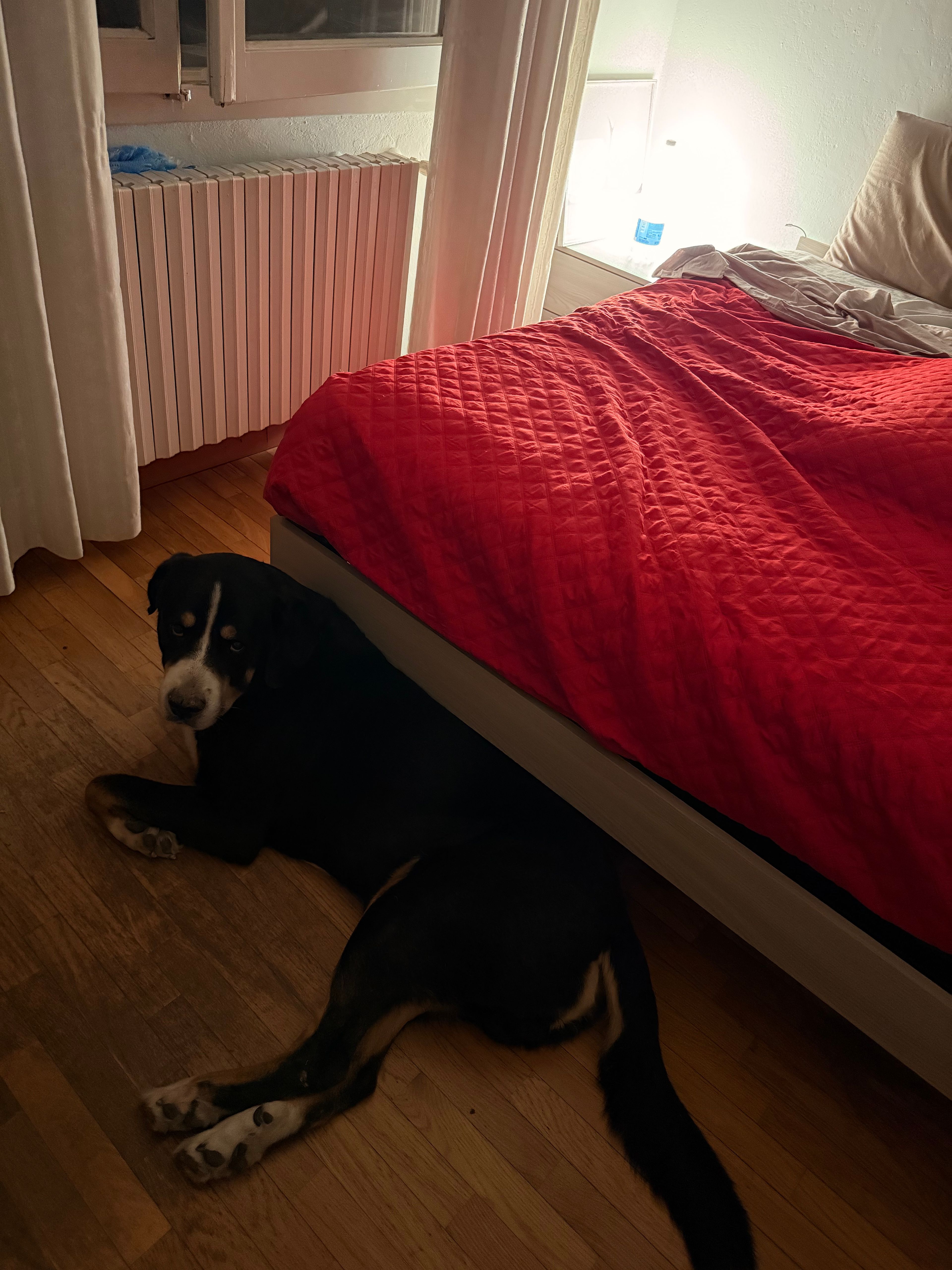 image-7