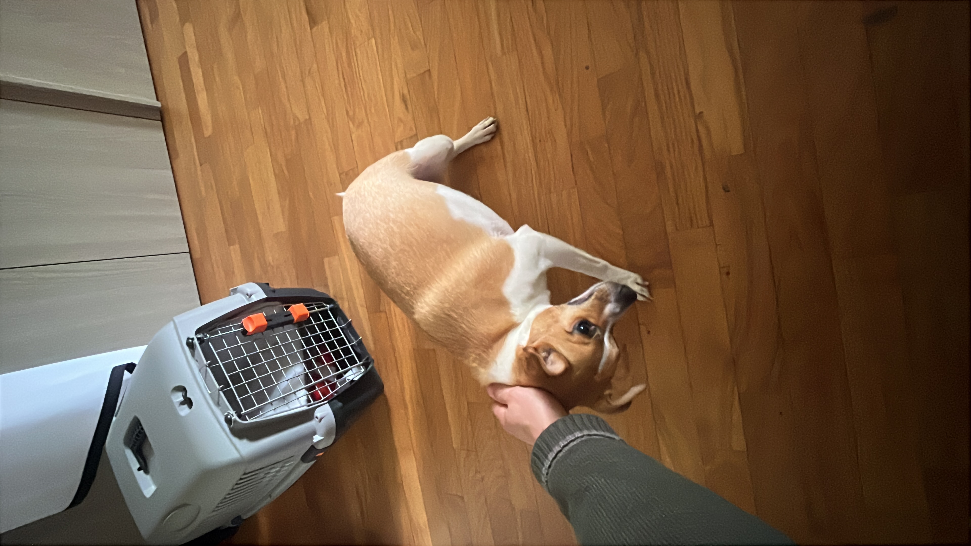image-10