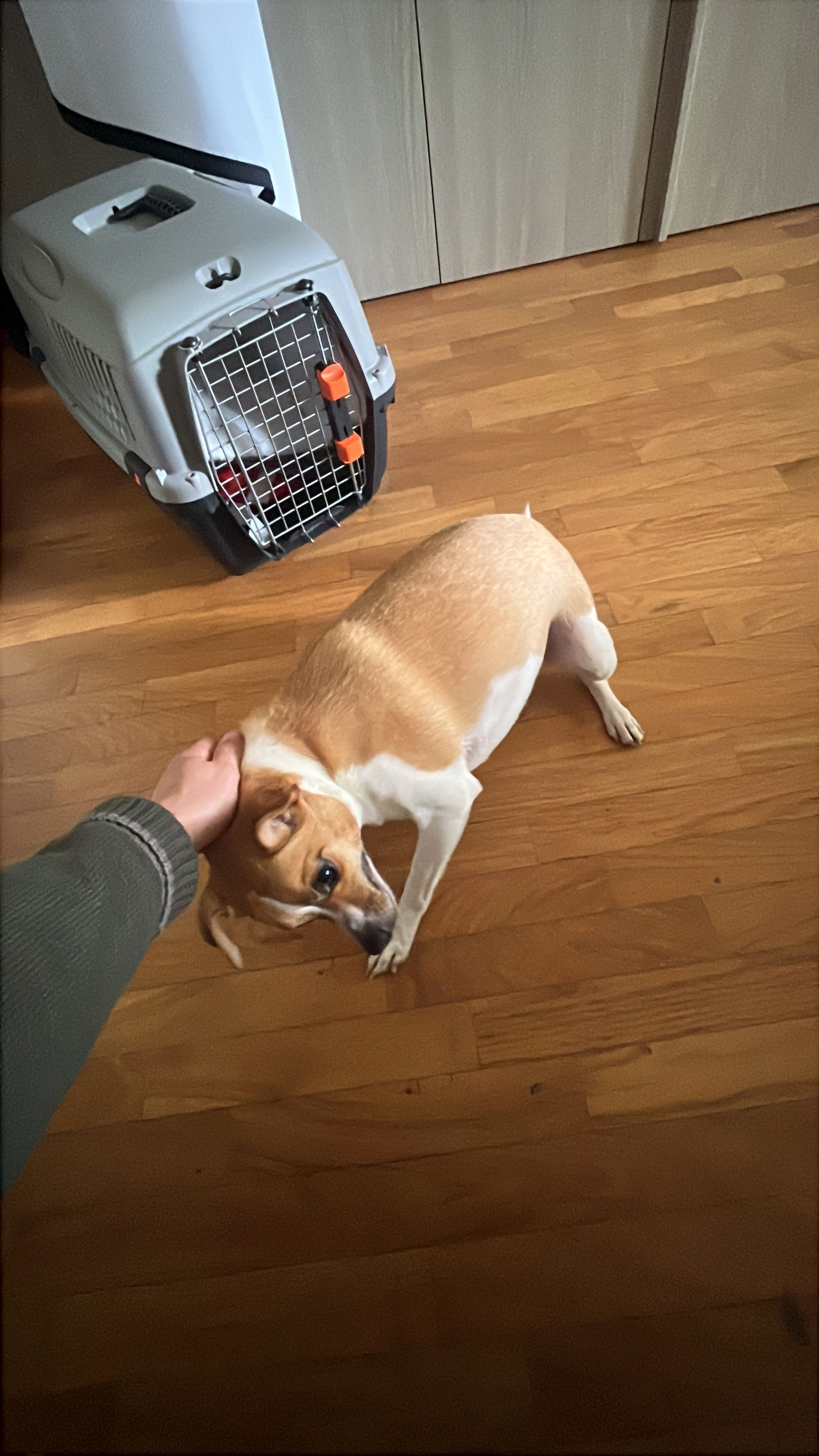 image-10