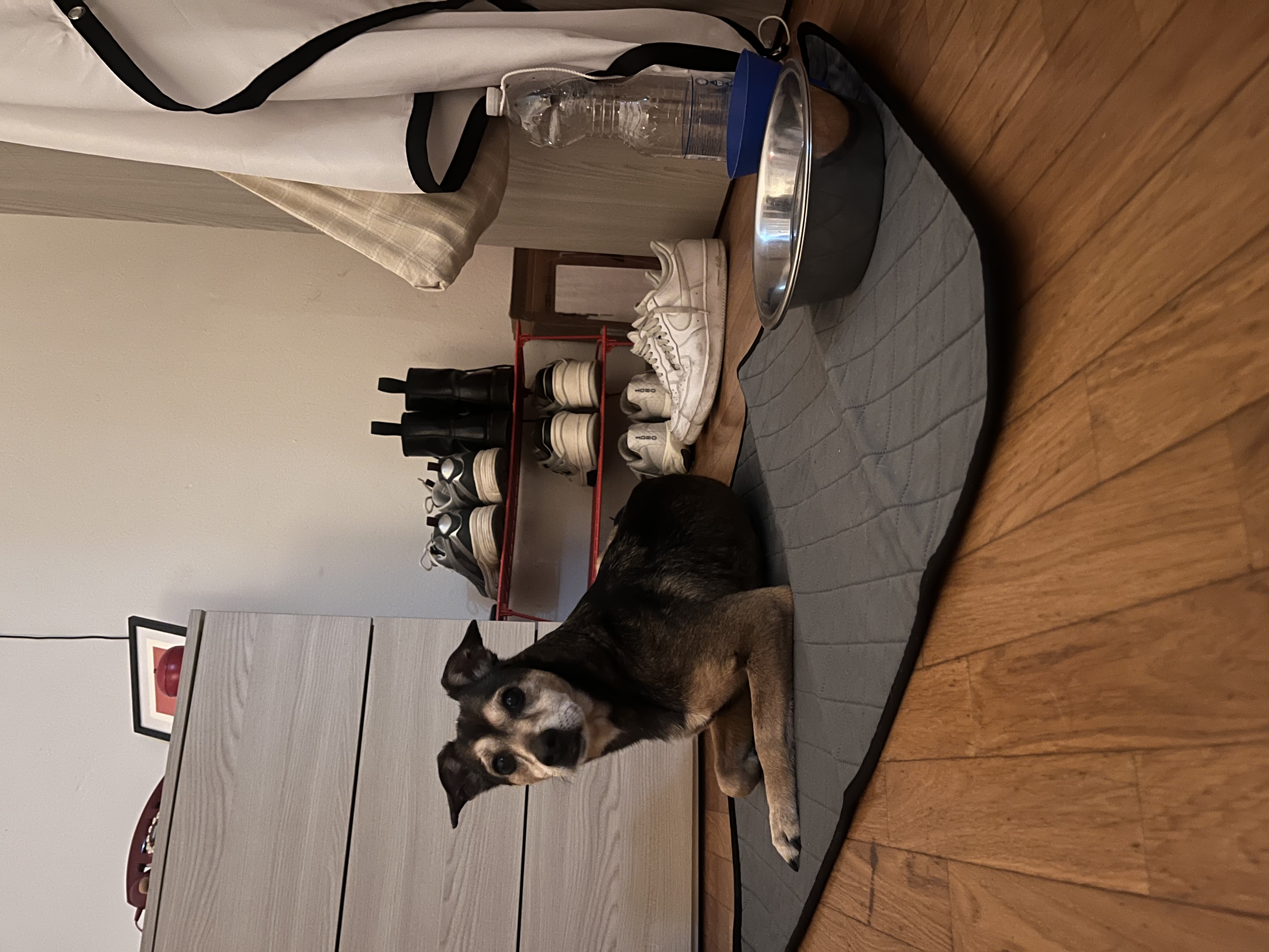 image-3