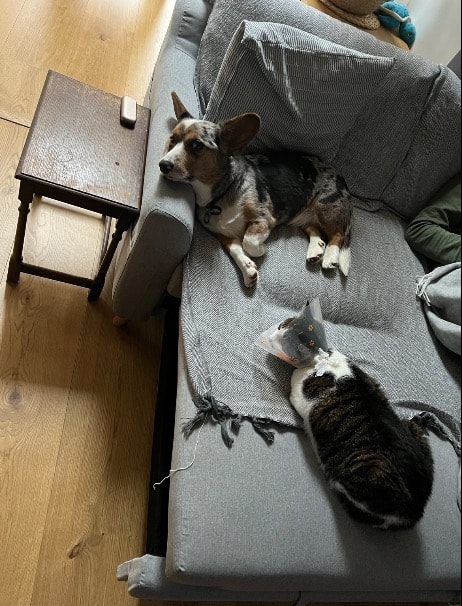 image-8