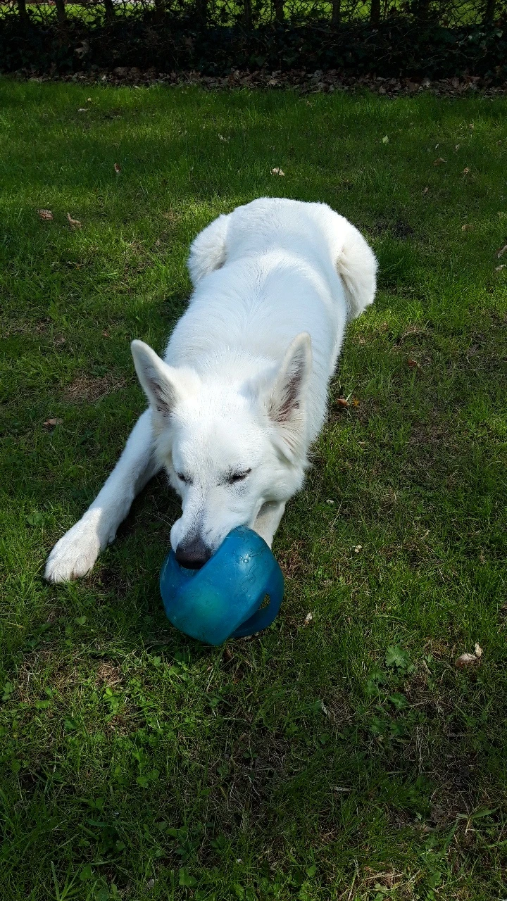 image-5