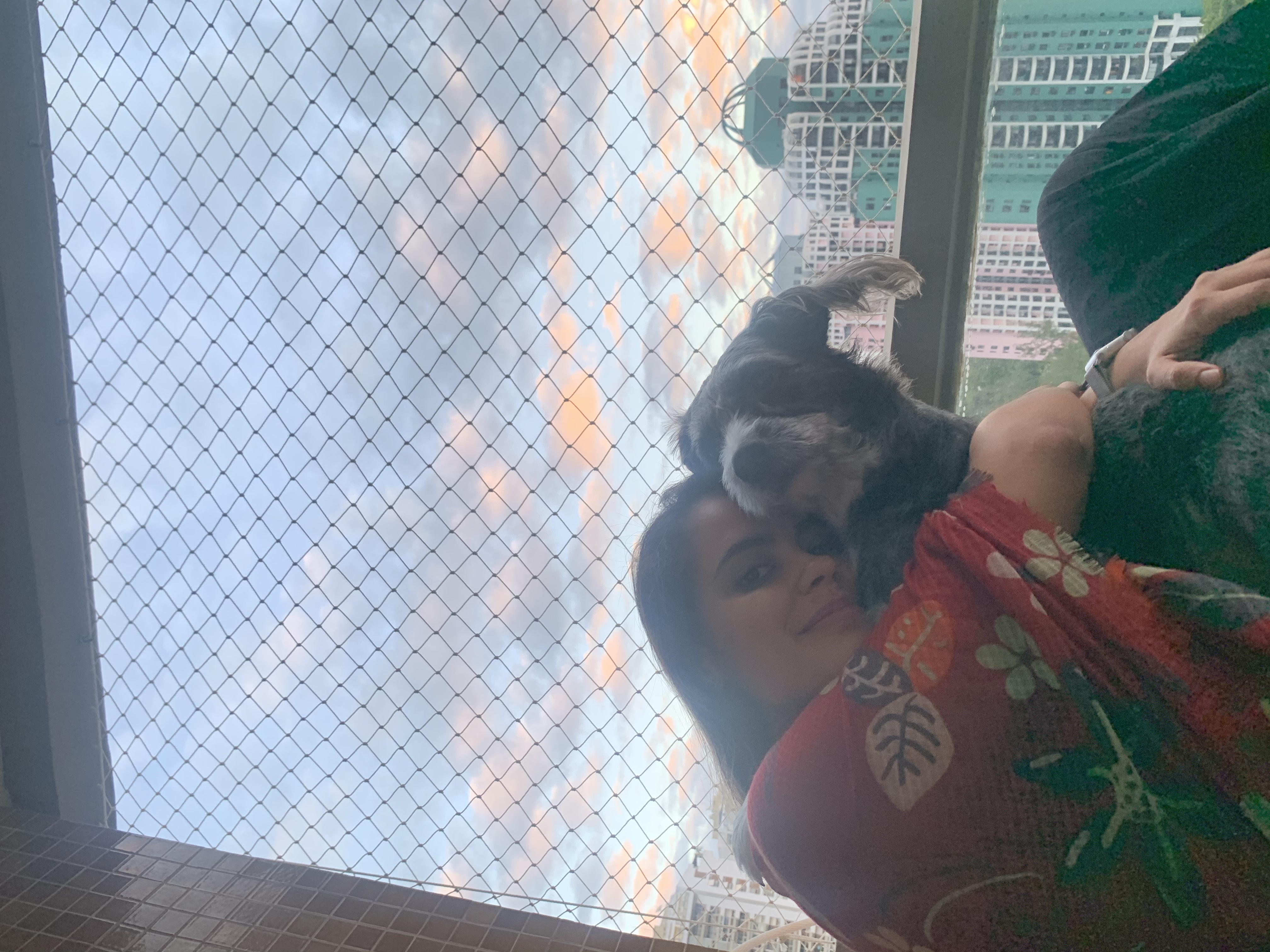 image-8