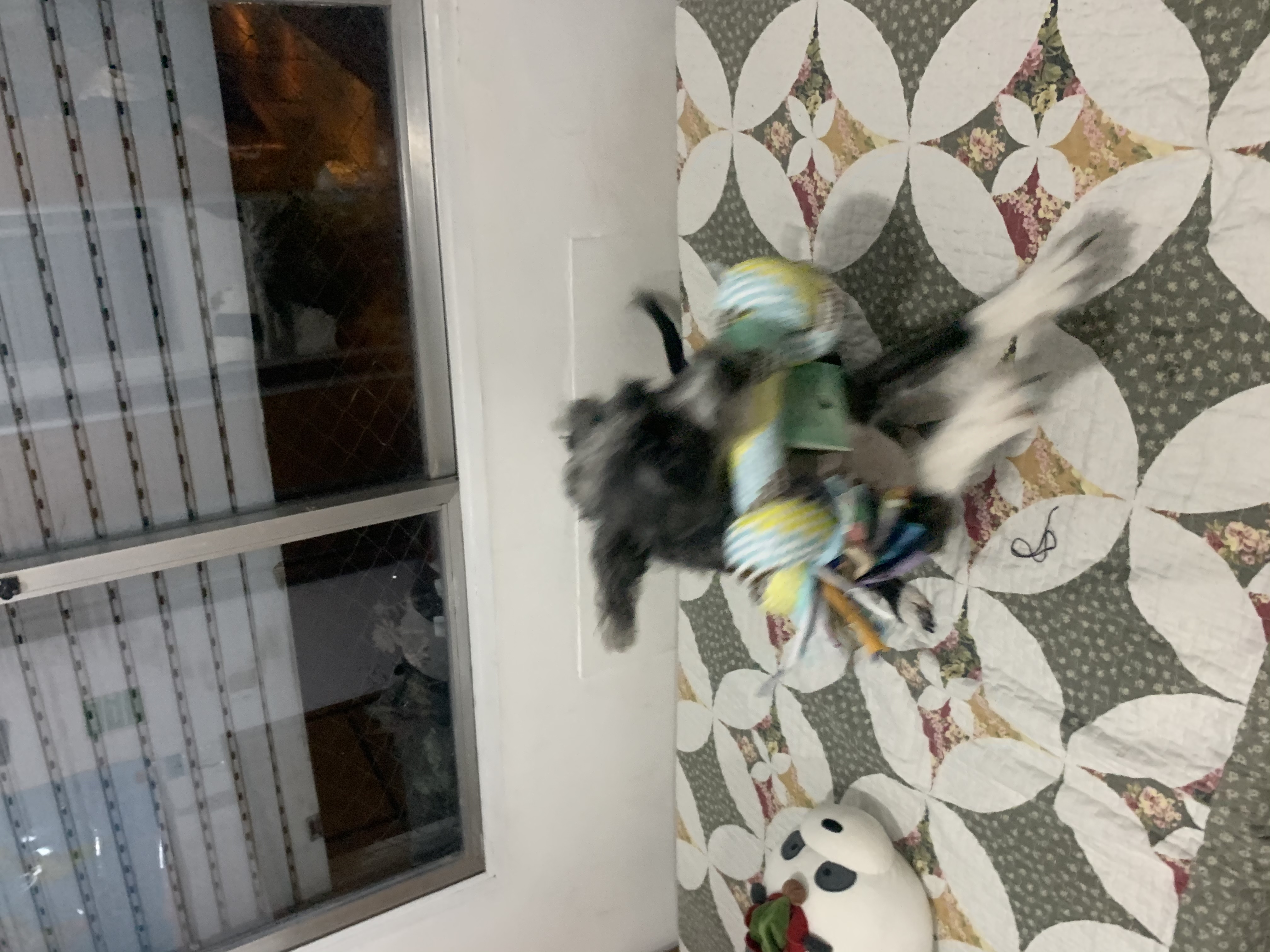 image-11