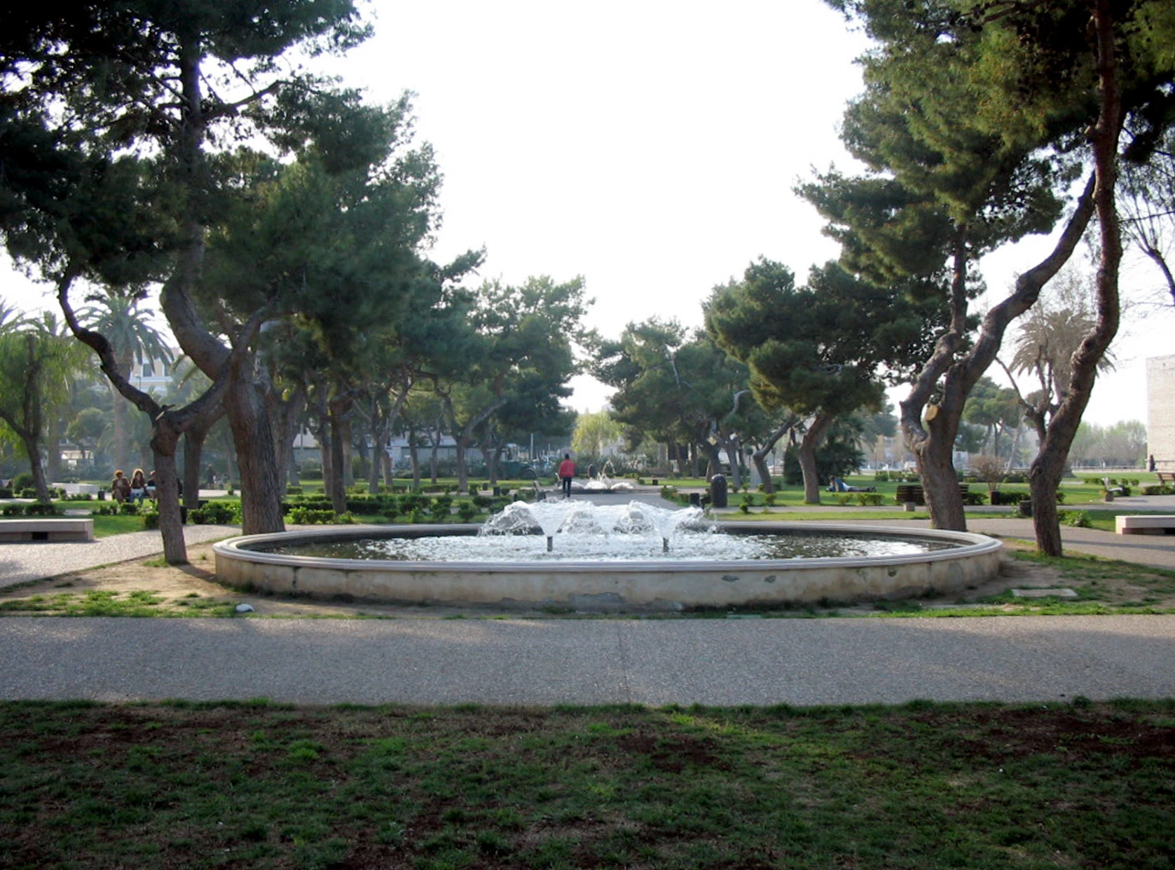 image-8