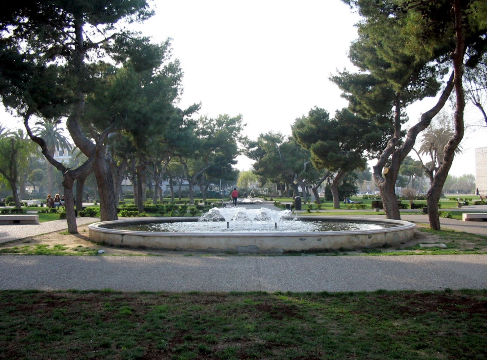 image-8