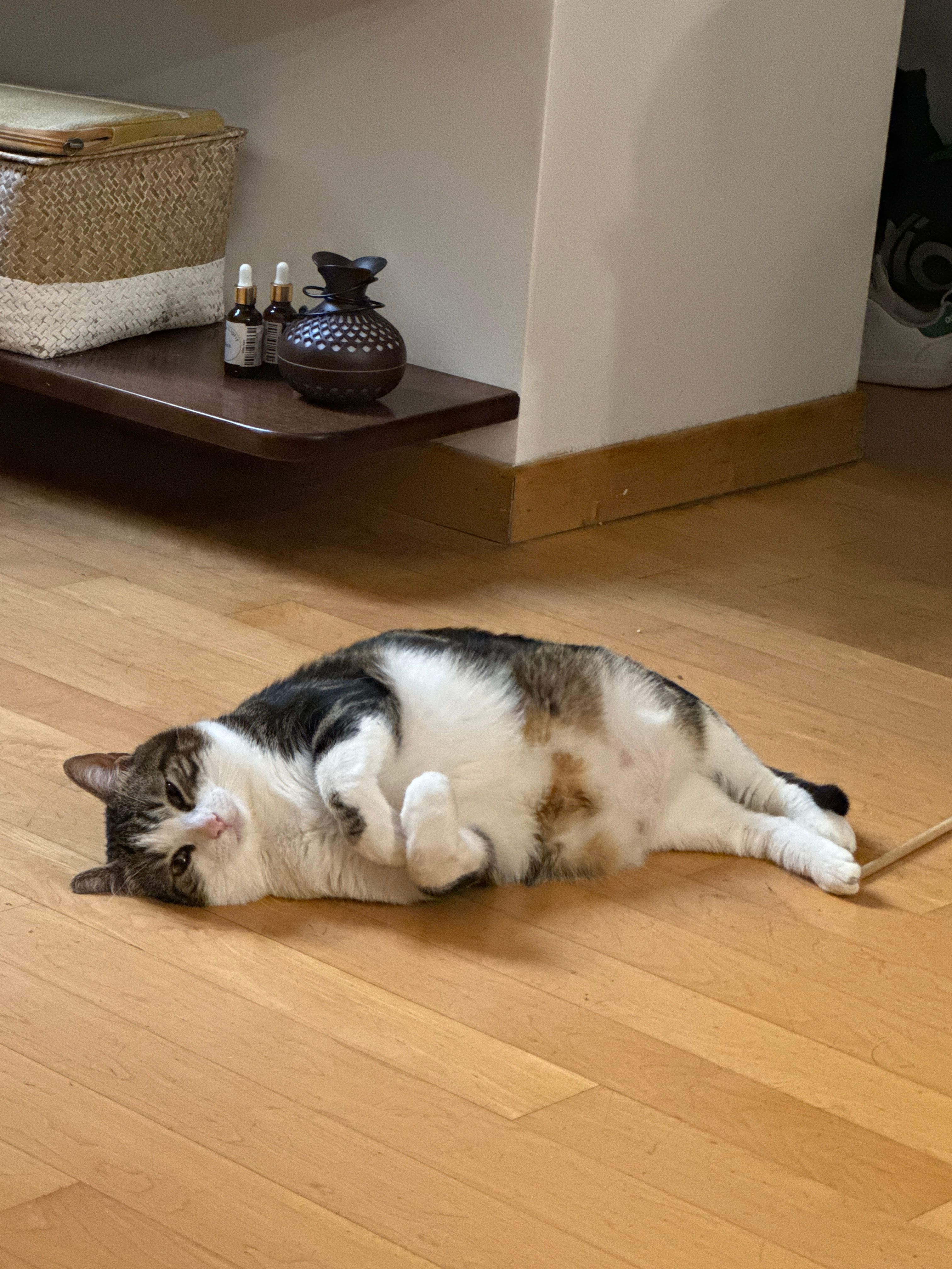 image-46
