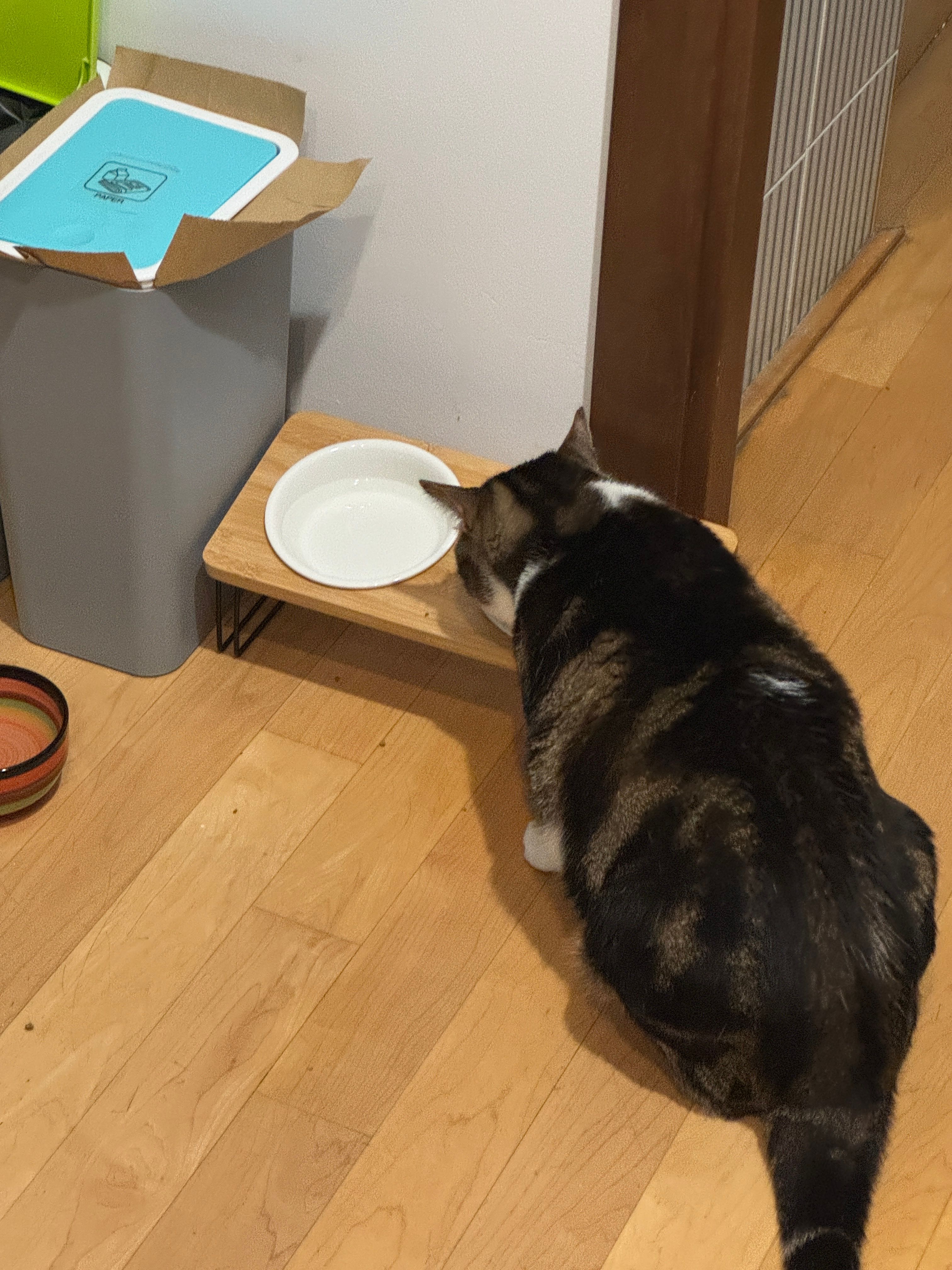 image-48