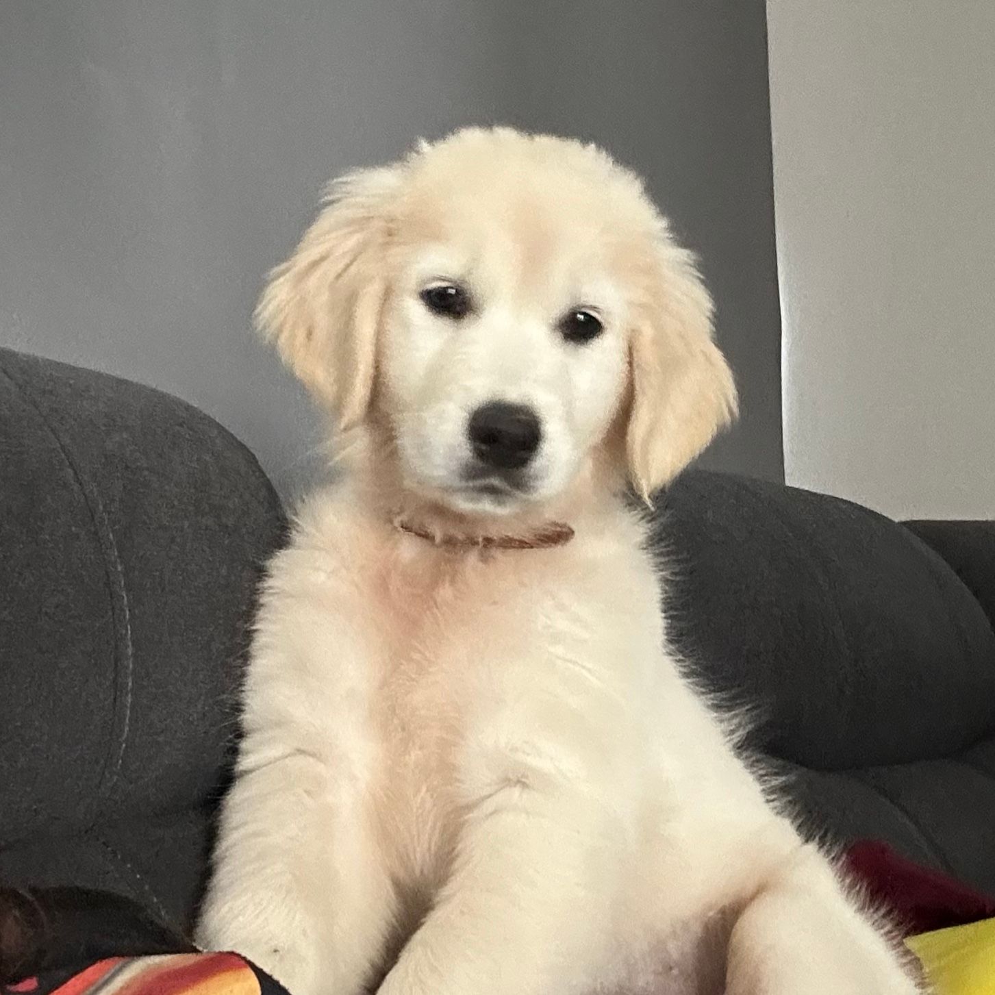 Molly