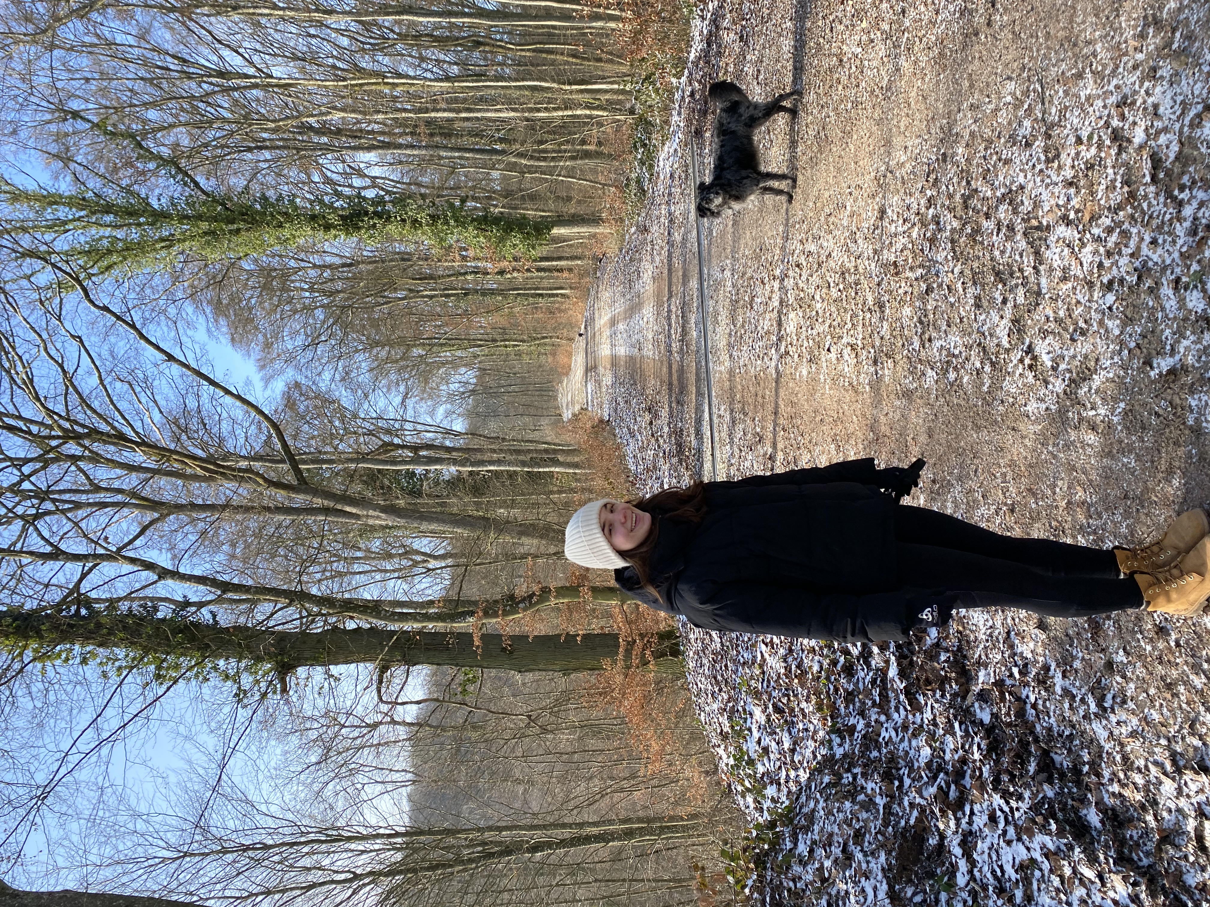 image-4