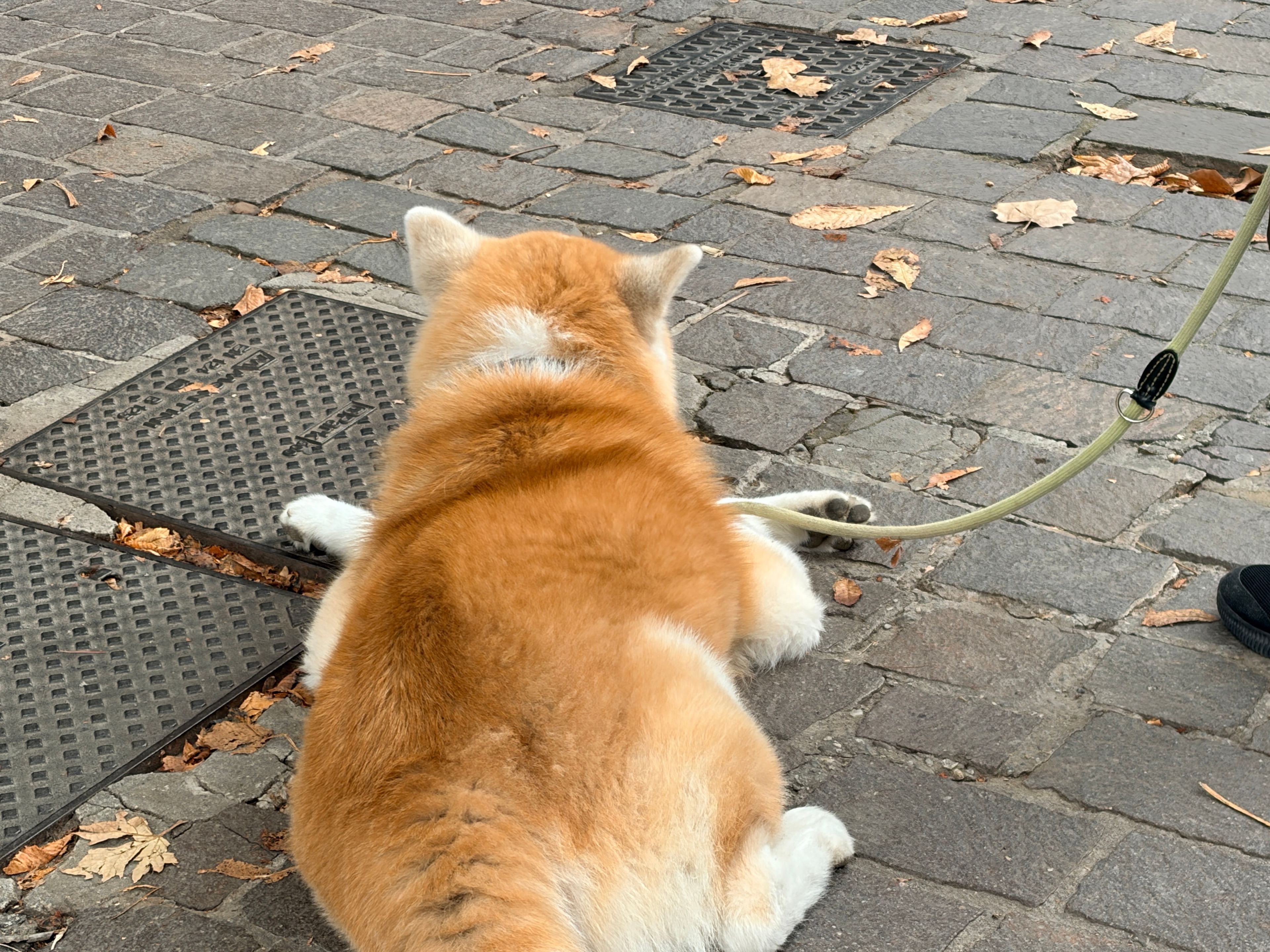 image-0