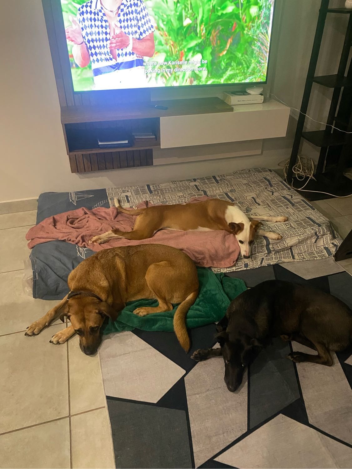 image-0