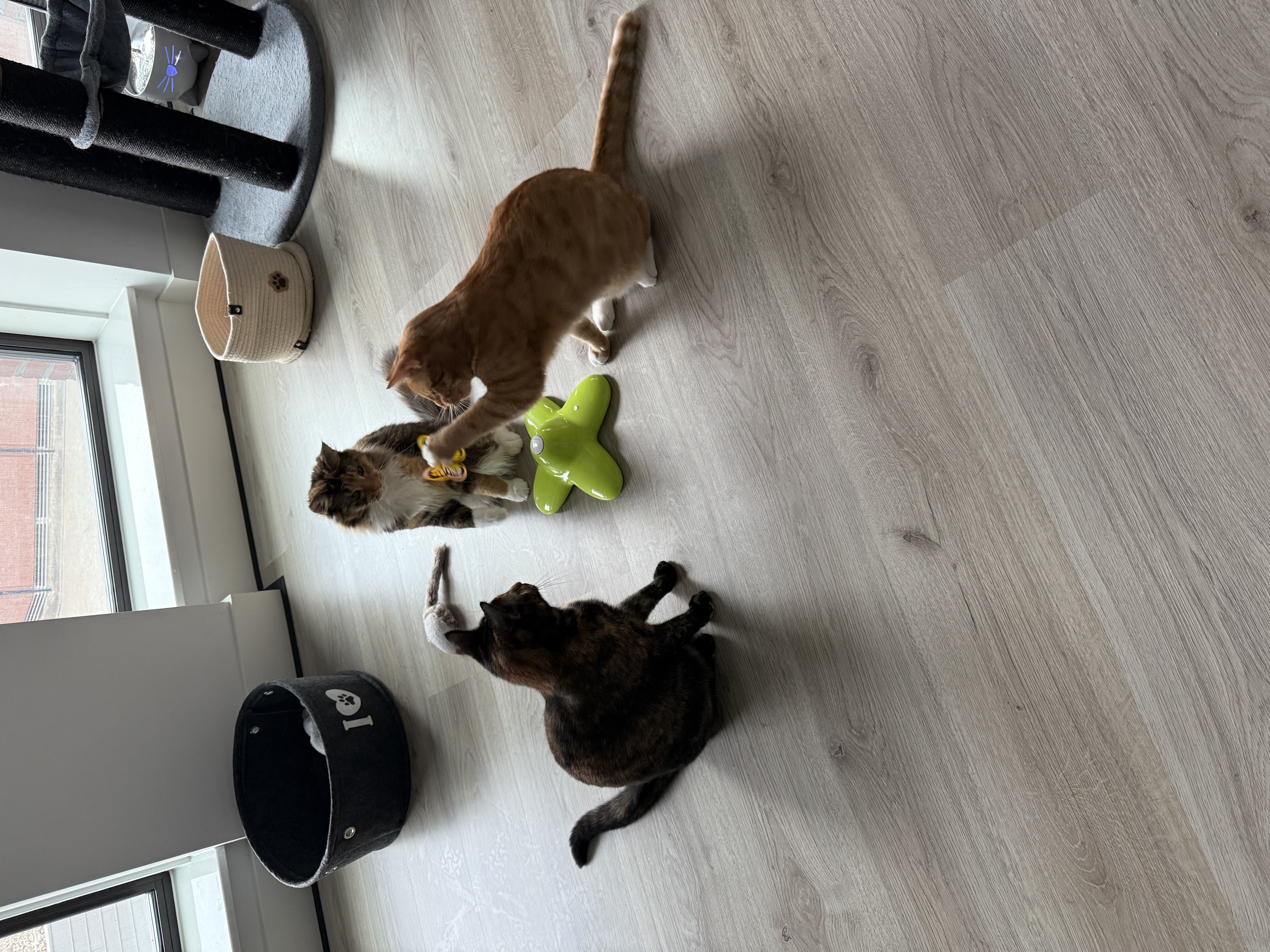 image-11