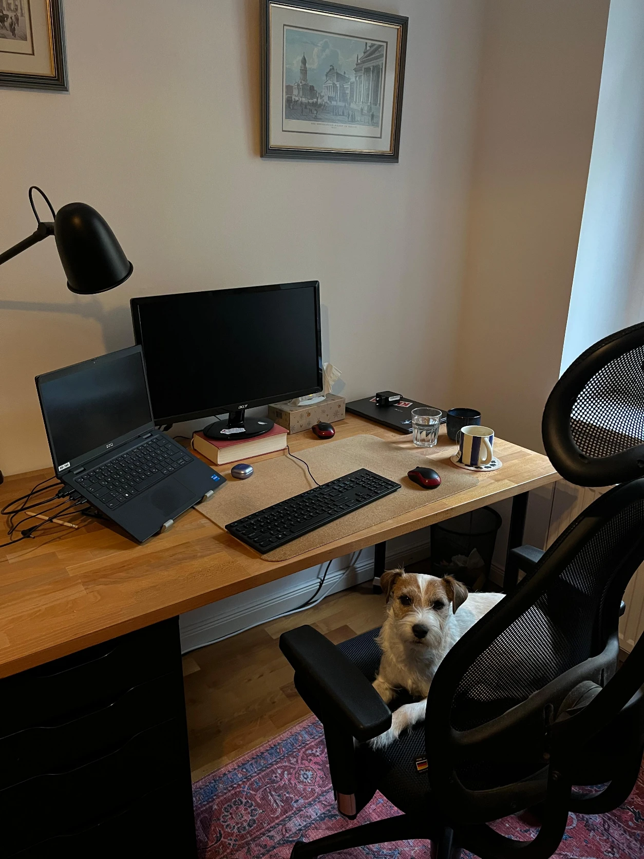 image-10